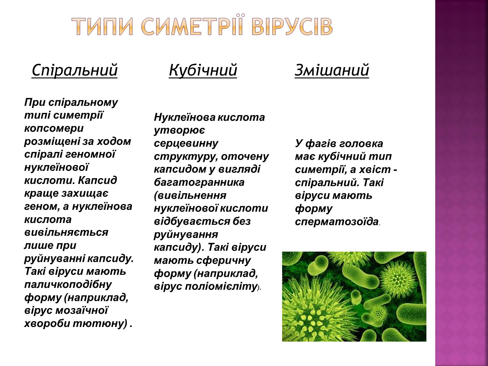 Презентація на тему «Віруси» (варіант 19) - Слайд #6 Презентація на тему «Віруси» (варіант 19) - Слайд #6