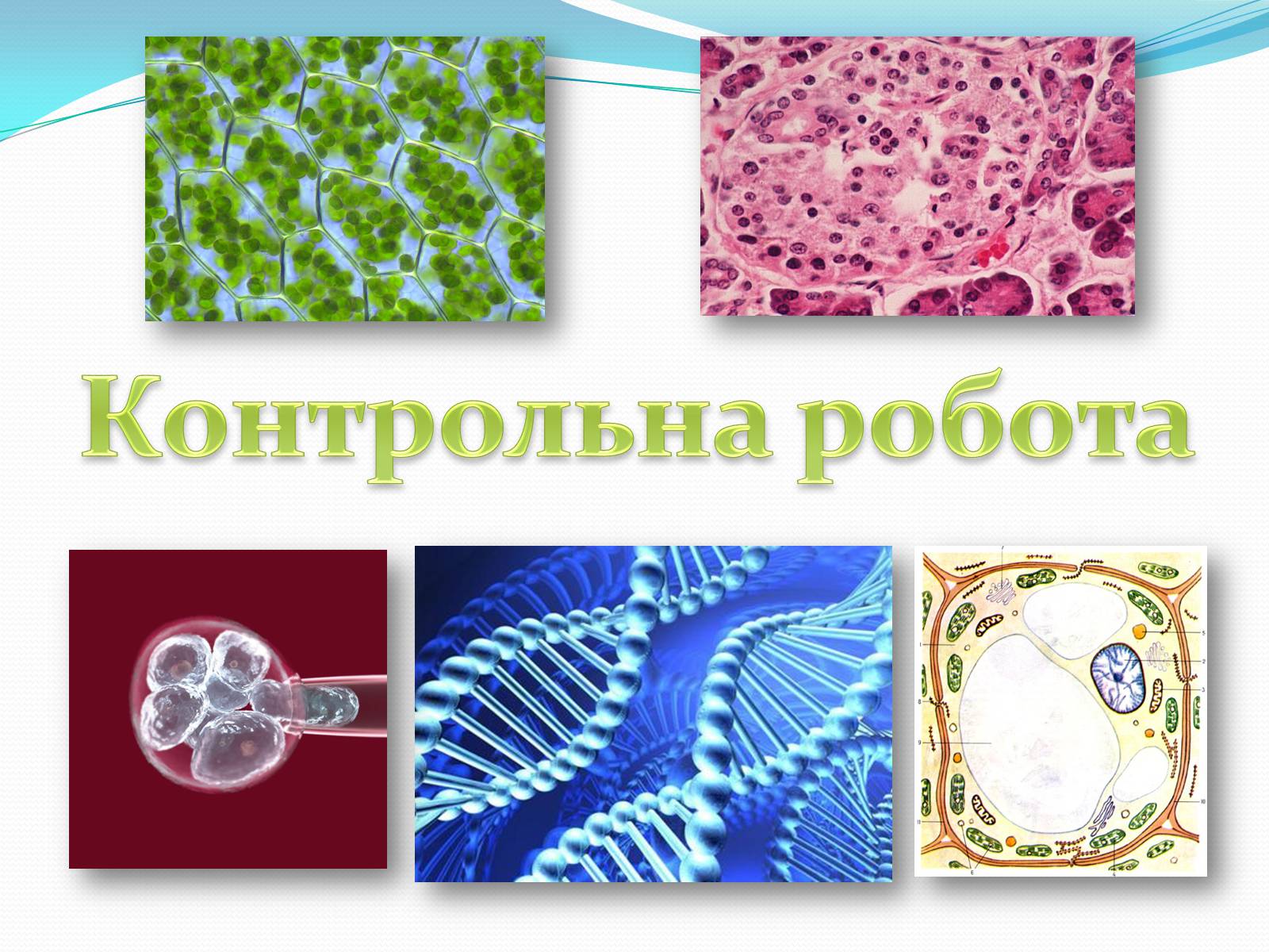 Презентація на тему «Контрольна робота» - Слайд #1 Презентація на тему «Контрольна робота» - Слайд #1