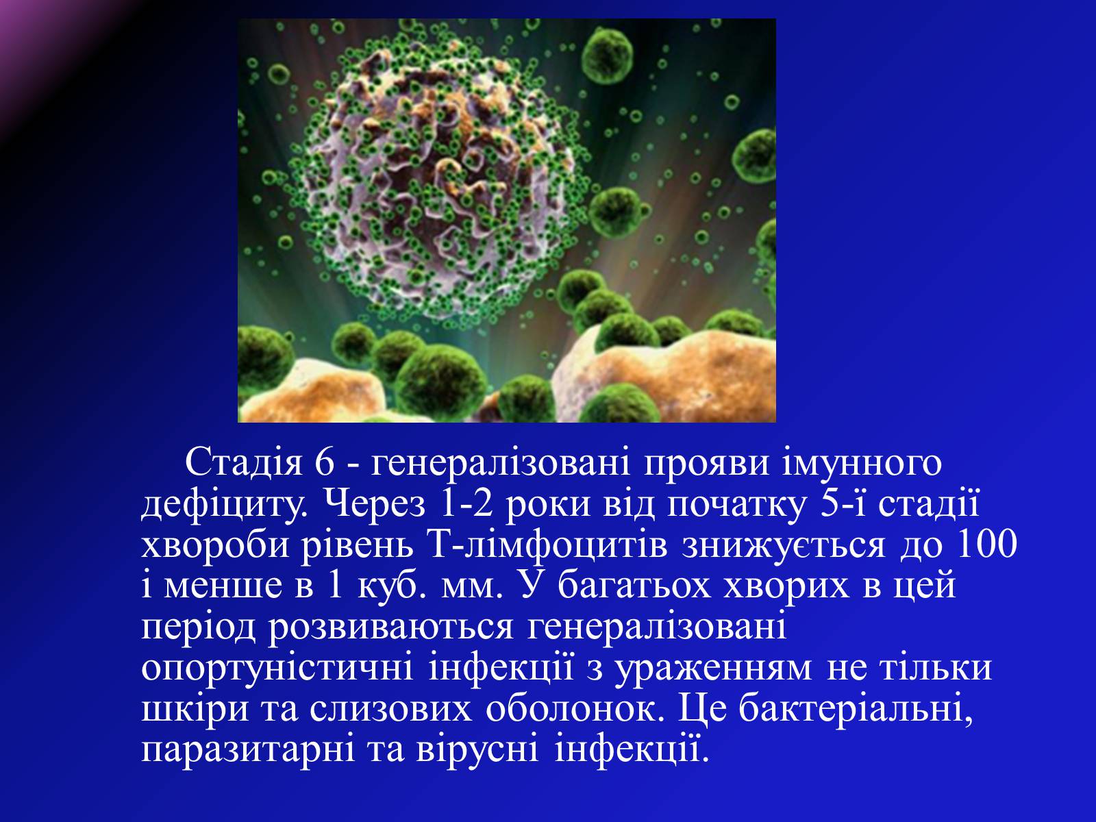 Презентація на тему «СНІД» (варіант 8) - Слайд #13 Презентація на тему «СНІД» (варіант 8) - Слайд #13