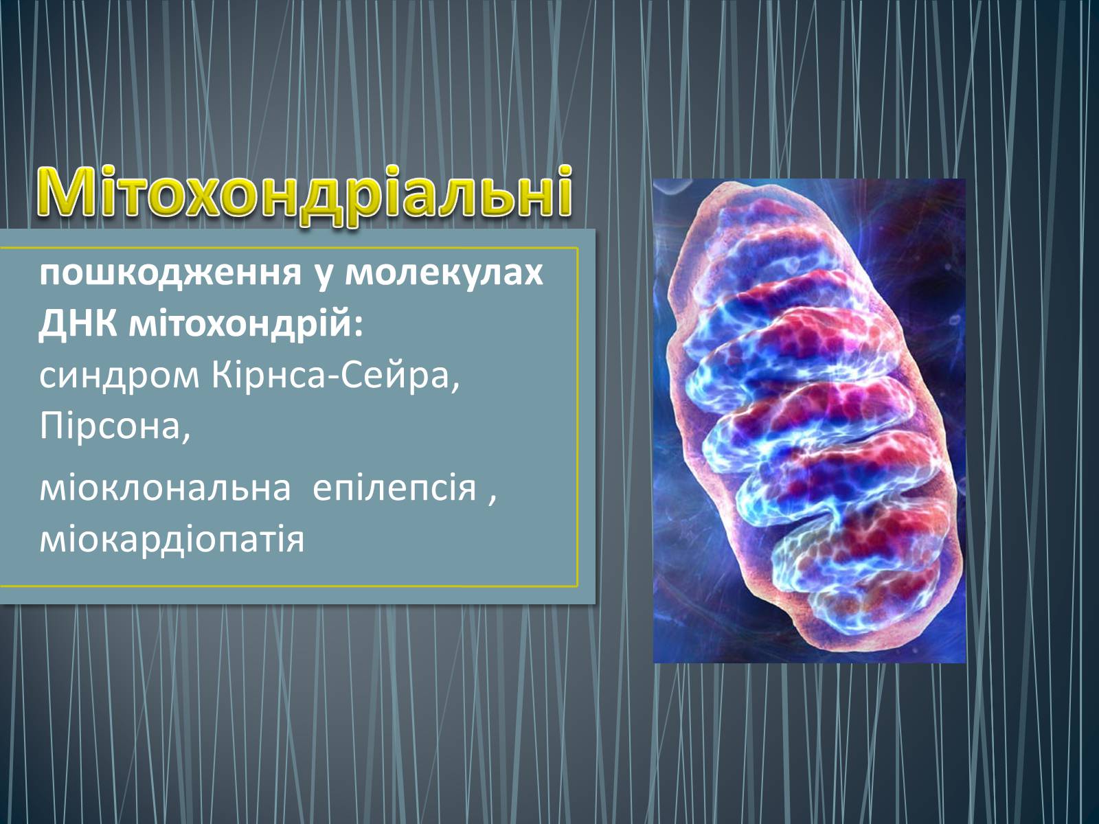 Презентація на тему «Типи генетичних хвороб людини» (варіант 3) - Слайд #19 Презентація на тему «Типи генетичних хвороб людини» (варіант 3) - Слайд #19