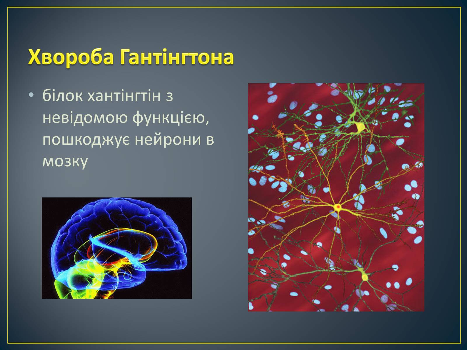 Презентація на тему «Типи генетичних хвороб людини» (варіант 3) - Слайд #8 Презентація на тему «Типи генетичних хвороб людини» (варіант 3) - Слайд #8