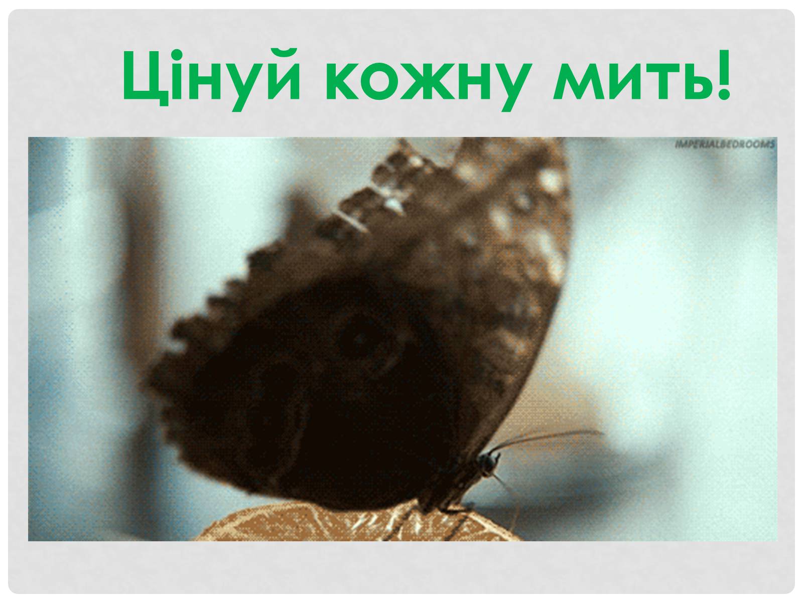 Презентація на тему «Цінність здоров’я» - Слайд #19 Презентація на тему «Цінність здоров’я» - Слайд #19
