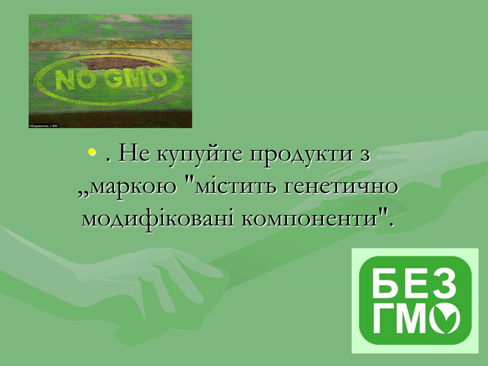 Презентація на тему «Генетично модифіковані організми» (варіант 4) - Слайд #9 Презентація на тему «Генетично модифіковані організми» (варіант 4) - Слайд #9