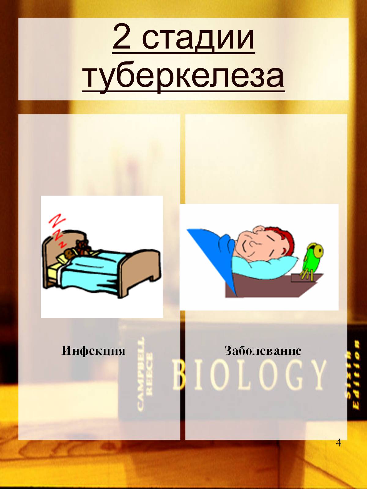 Презентація на тему «Туберкулез» (варіант 2) - Слайд #5 Презентація на тему «Туберкулез» (варіант 2) - Слайд #5