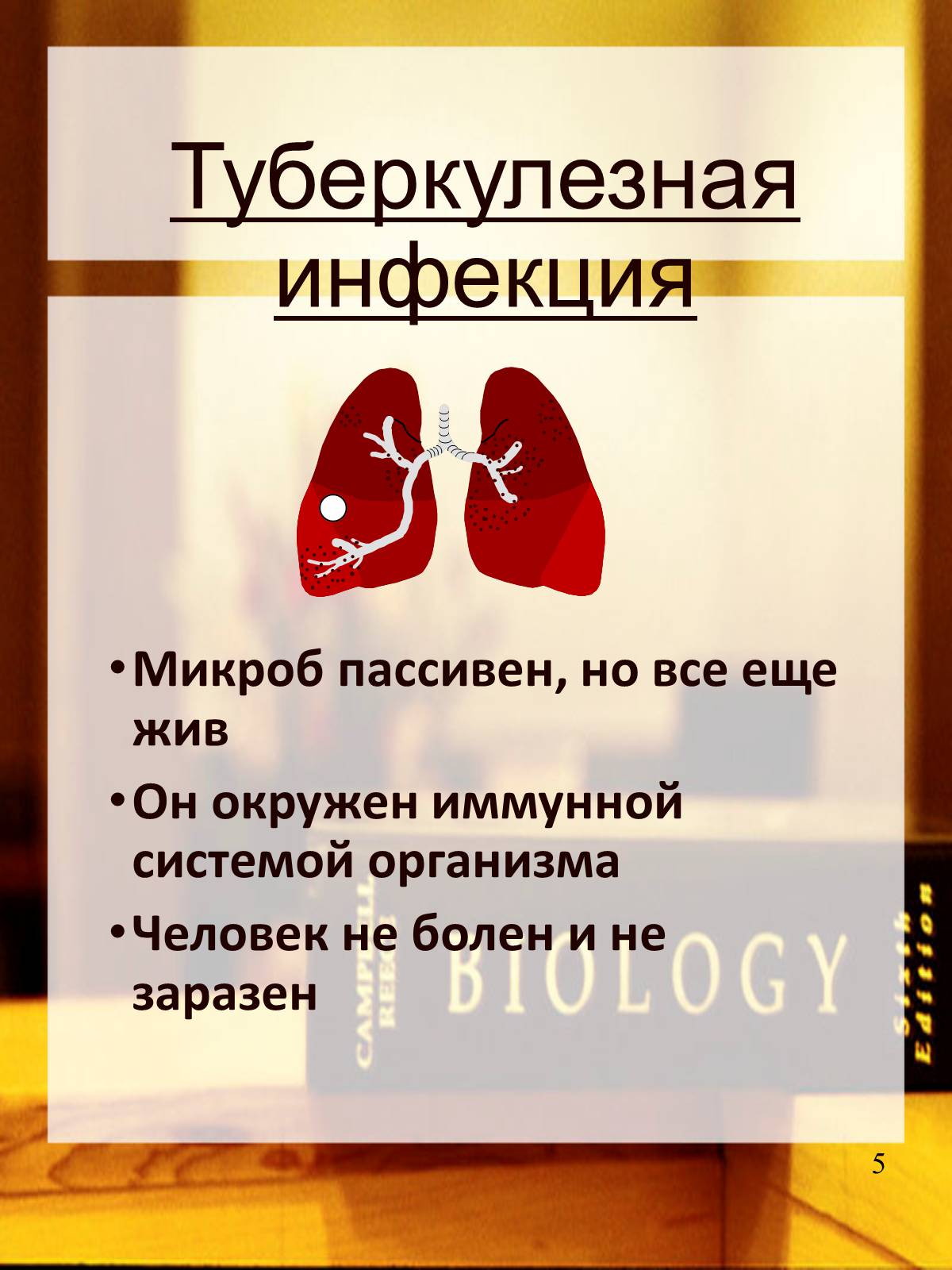 Презентація на тему «Туберкулез» (варіант 2) - Слайд #6 Презентація на тему «Туберкулез» (варіант 2) - Слайд #6