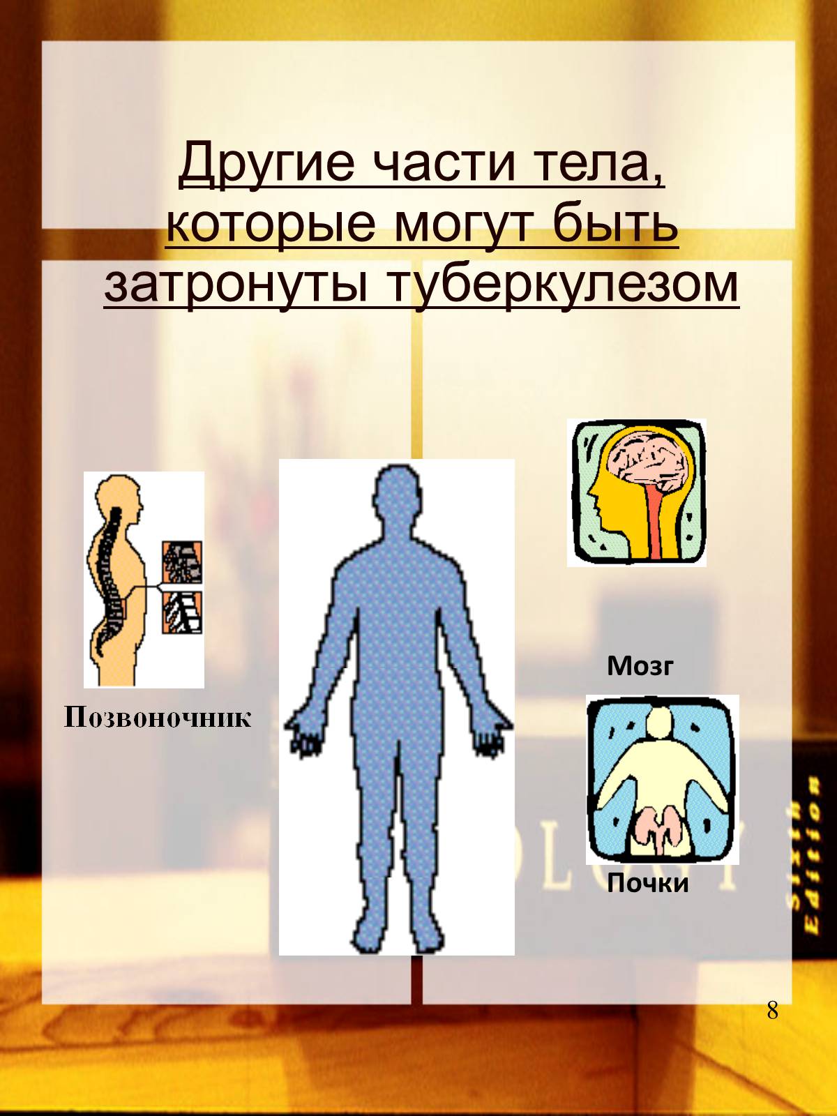 Презентація на тему «Туберкулез» (варіант 2) - Слайд #9 Презентація на тему «Туберкулез» (варіант 2) - Слайд #9