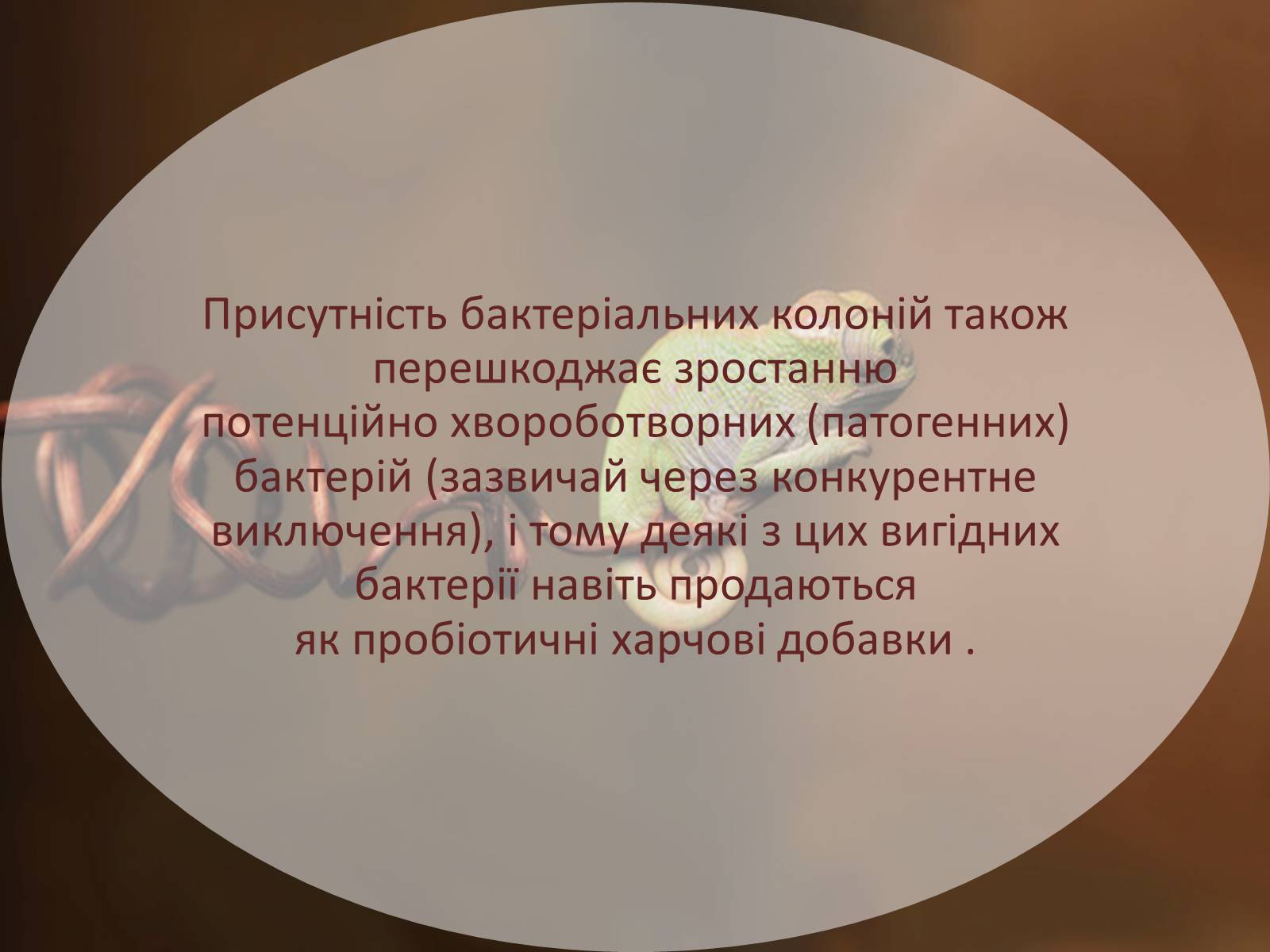 Презентація на тему «Шляхи поширення бактеріальних захворювань» - Слайд #7 Презентація на тему «Шляхи поширення бактеріальних захворювань» - Слайд #7