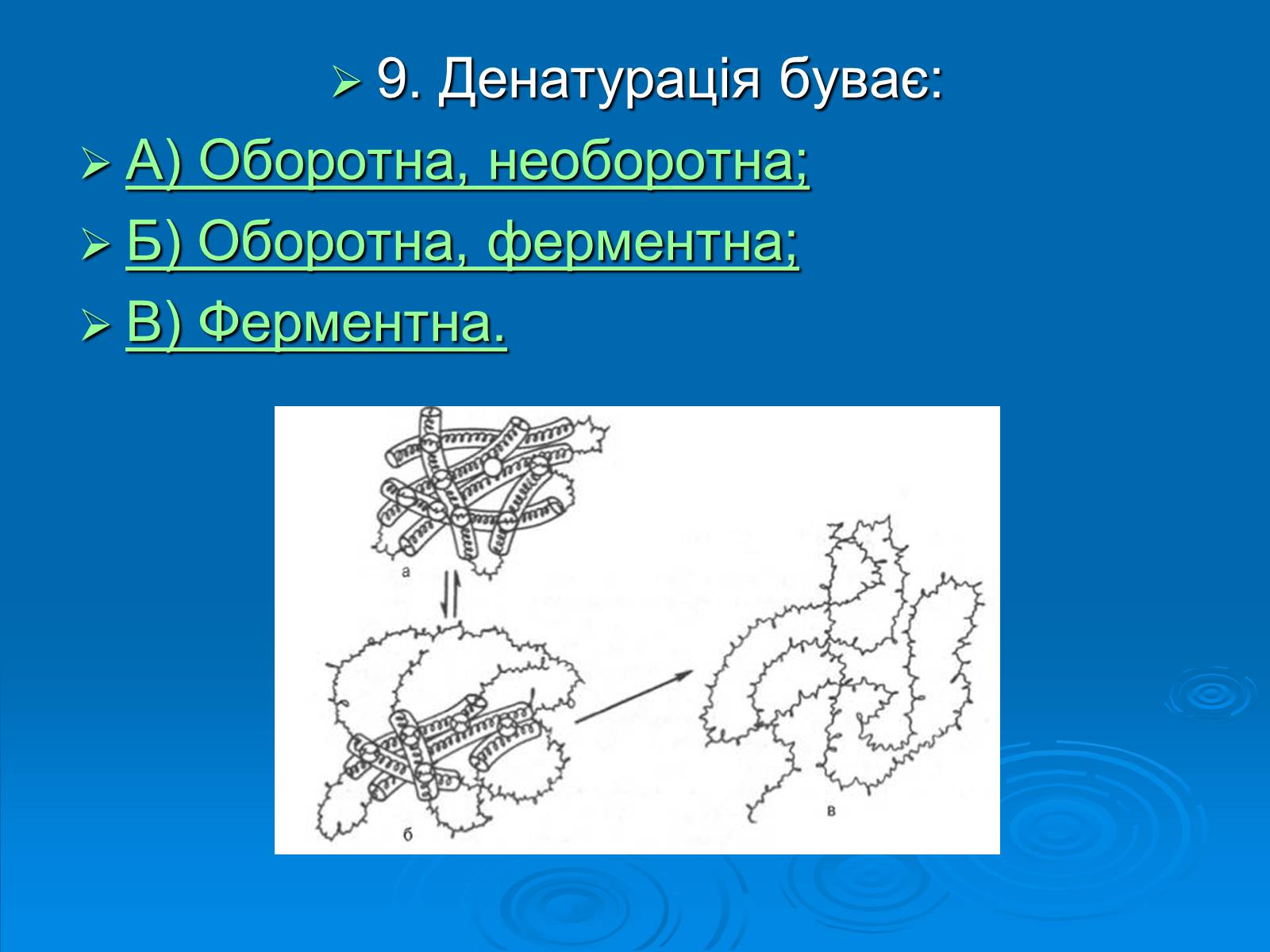 Презентація на тему «Біологія» (варіант 3) - Слайд #10 Презентація на тему «Біологія» (варіант 3) - Слайд #10