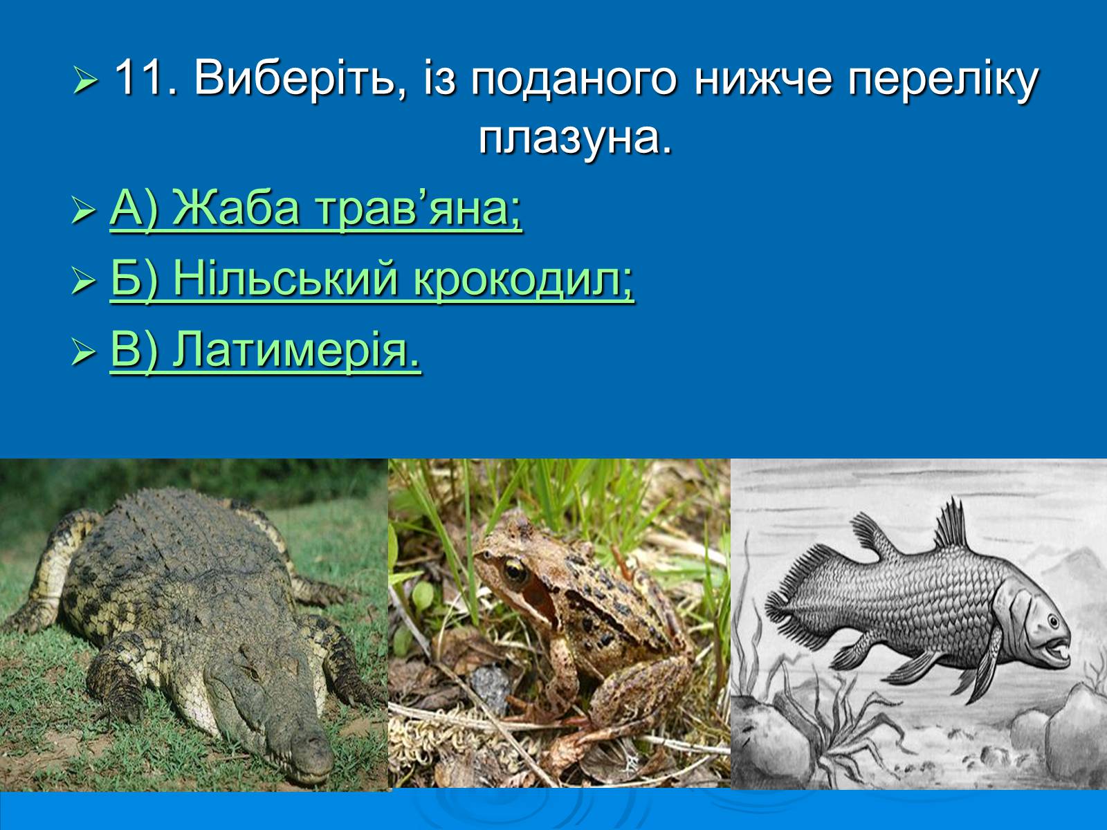 Презентація на тему «Біологія» (варіант 3) - Слайд #12 Презентація на тему «Біологія» (варіант 3) - Слайд #12