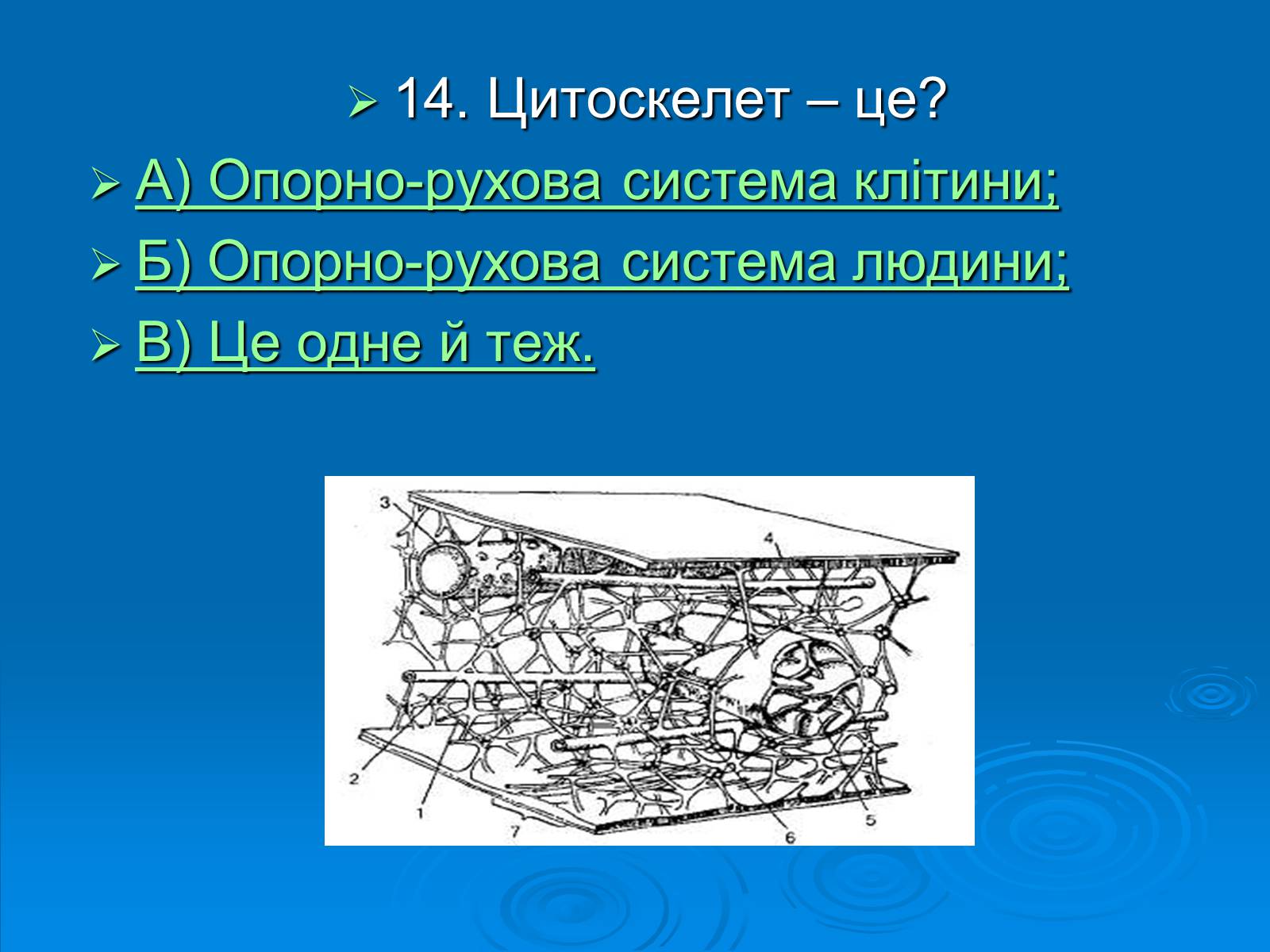 Презентація на тему «Біологія» (варіант 3) - Слайд #15 Презентація на тему «Біологія» (варіант 3) - Слайд #15