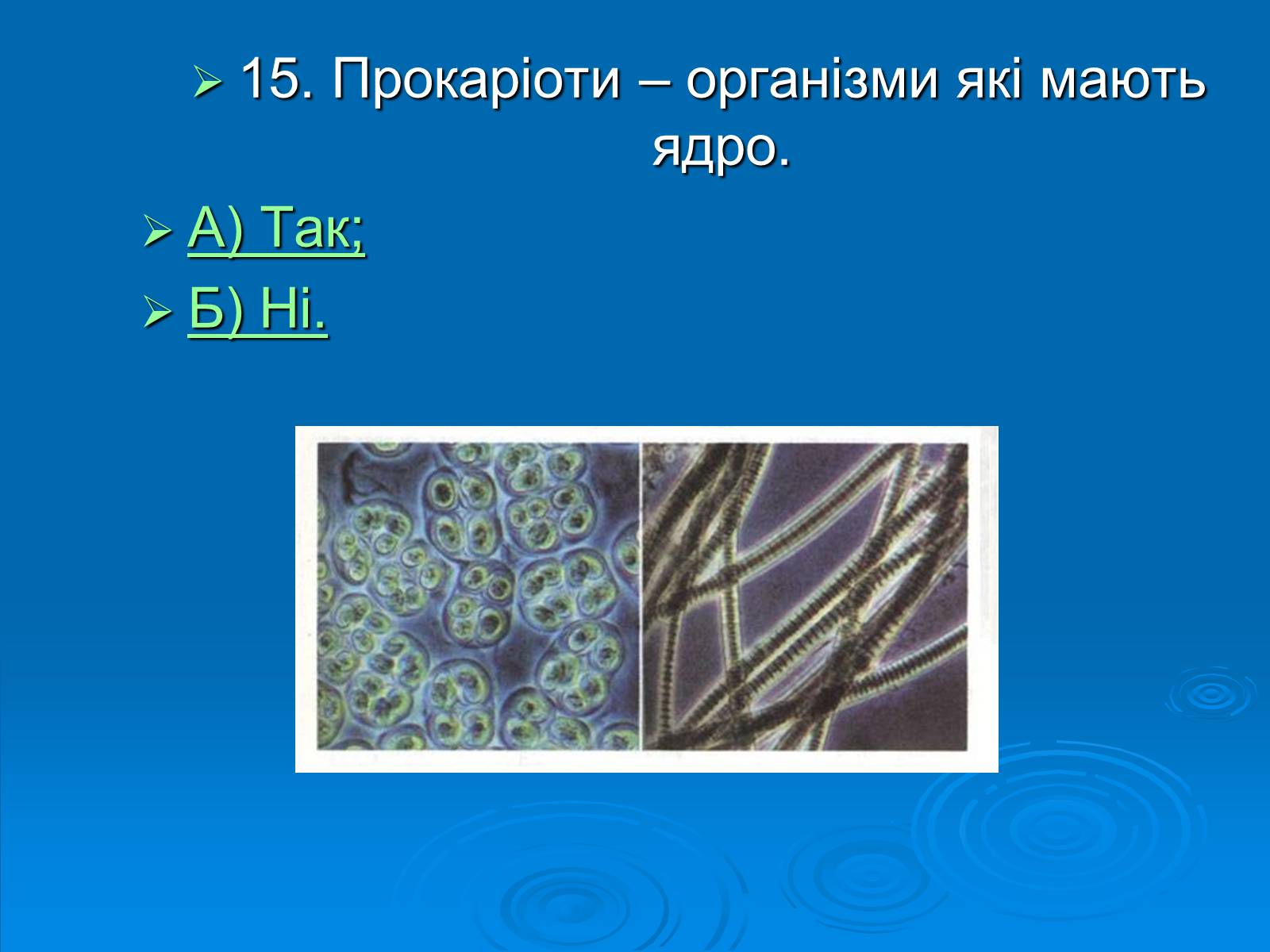 Презентація на тему «Біологія» (варіант 3) - Слайд #16 Презентація на тему «Біологія» (варіант 3) - Слайд #16