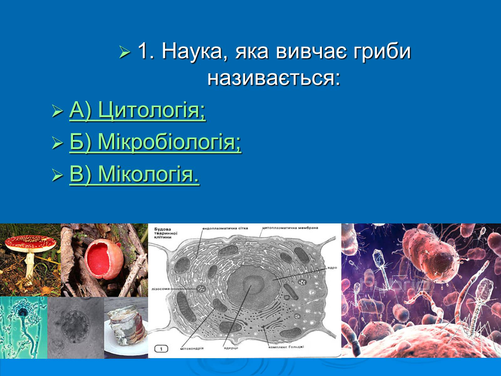 Презентація на тему «Біологія» (варіант 3) - Слайд #2 Презентація на тему «Біологія» (варіант 3) - Слайд #2