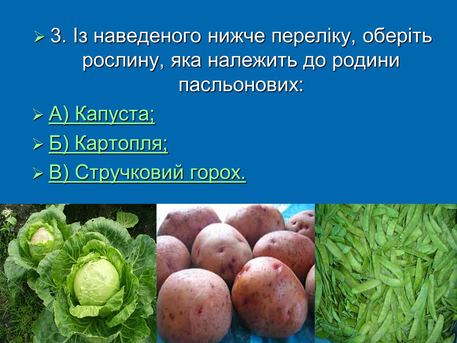 Презентація на тему «Біологія» (варіант 3) - Слайд #4 Презентація на тему «Біологія» (варіант 3) - Слайд #4