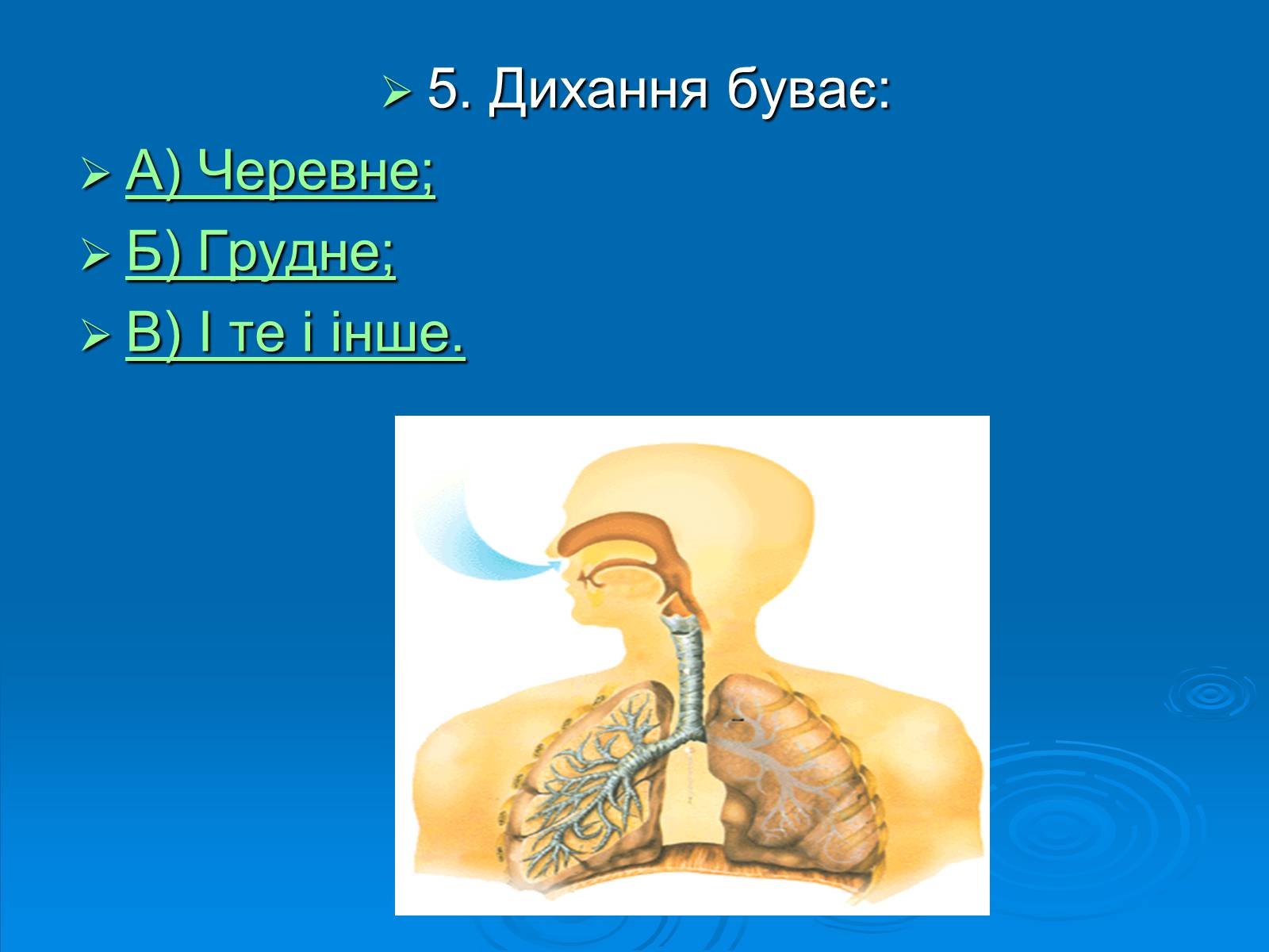 Презентація на тему «Біологія» (варіант 3) - Слайд #6 Презентація на тему «Біологія» (варіант 3) - Слайд #6