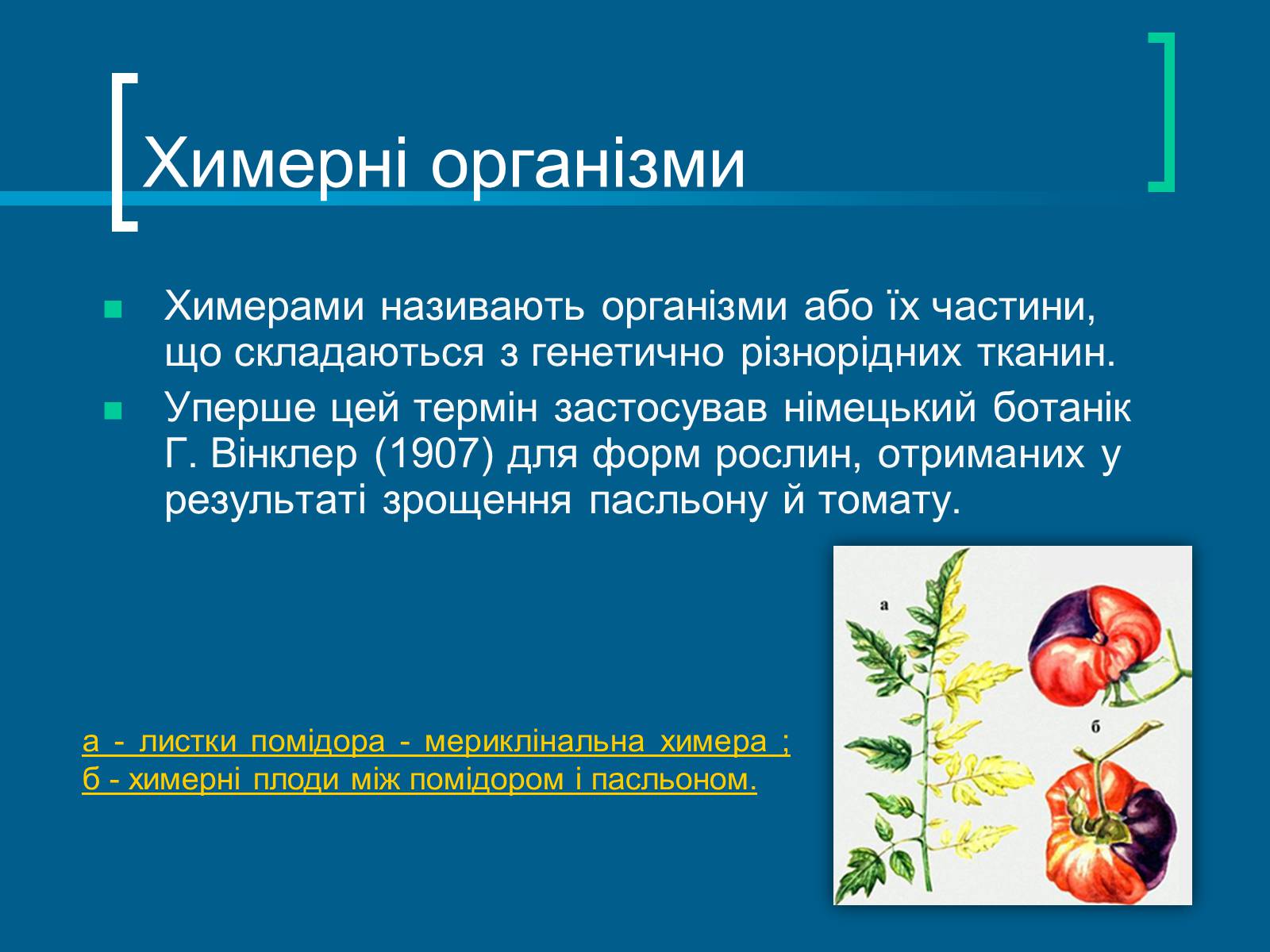 Презентація на тему «Трансгенні організми» (варіант 3) - Слайд #15 Презентація на тему «Трансгенні організми» (варіант 3) - Слайд #15