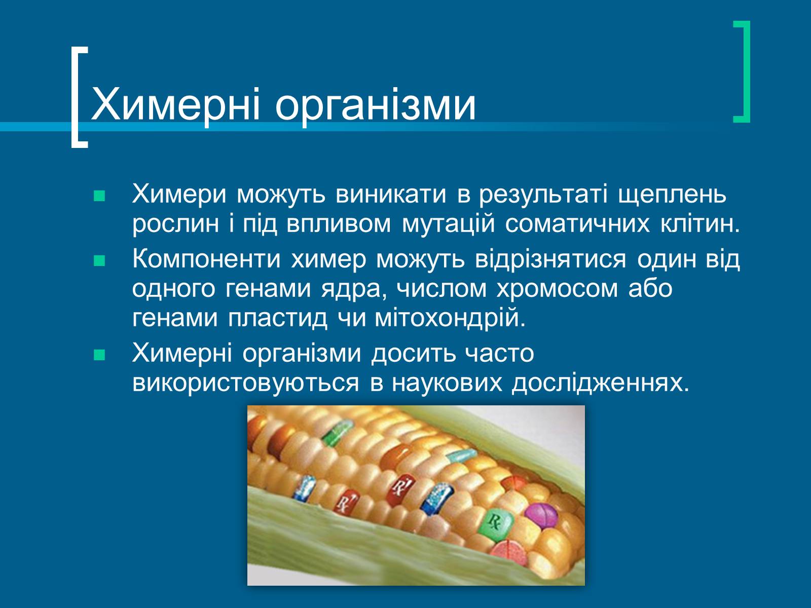 Презентація на тему «Трансгенні організми» (варіант 3) - Слайд #17 Презентація на тему «Трансгенні організми» (варіант 3) - Слайд #17