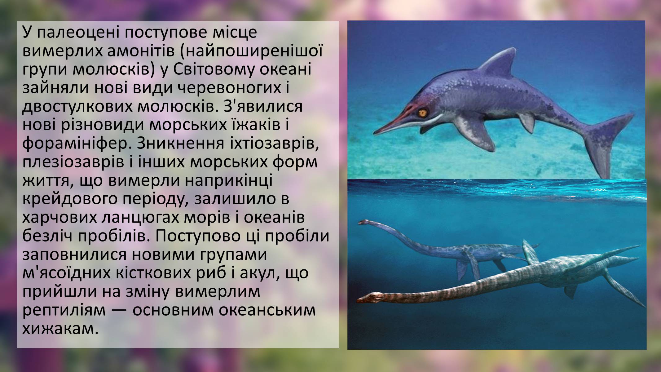 Презентація на тему «Палеоценова епоха» - Слайд #4 Презентація на тему «Палеоценова епоха» - Слайд #4