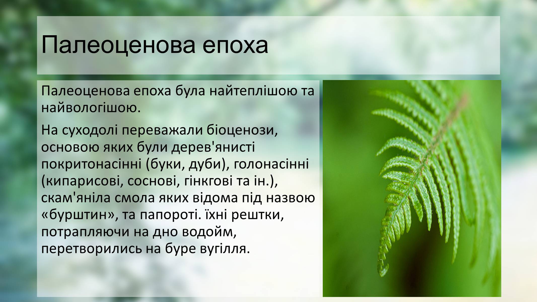 Презентація на тему «Палеоценова епоха» - Слайд #6 Презентація на тему «Палеоценова епоха» - Слайд #6