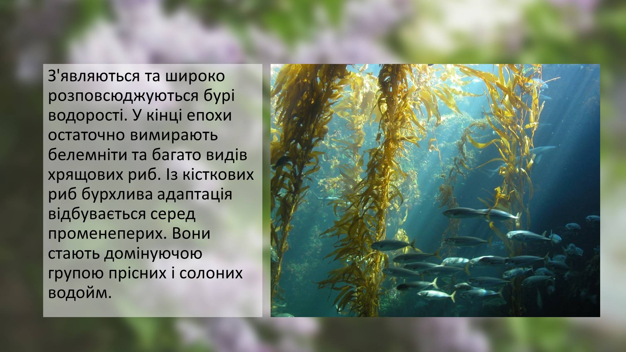 Презентація на тему «Палеоценова епоха» - Слайд #8 Презентація на тему «Палеоценова епоха» - Слайд #8