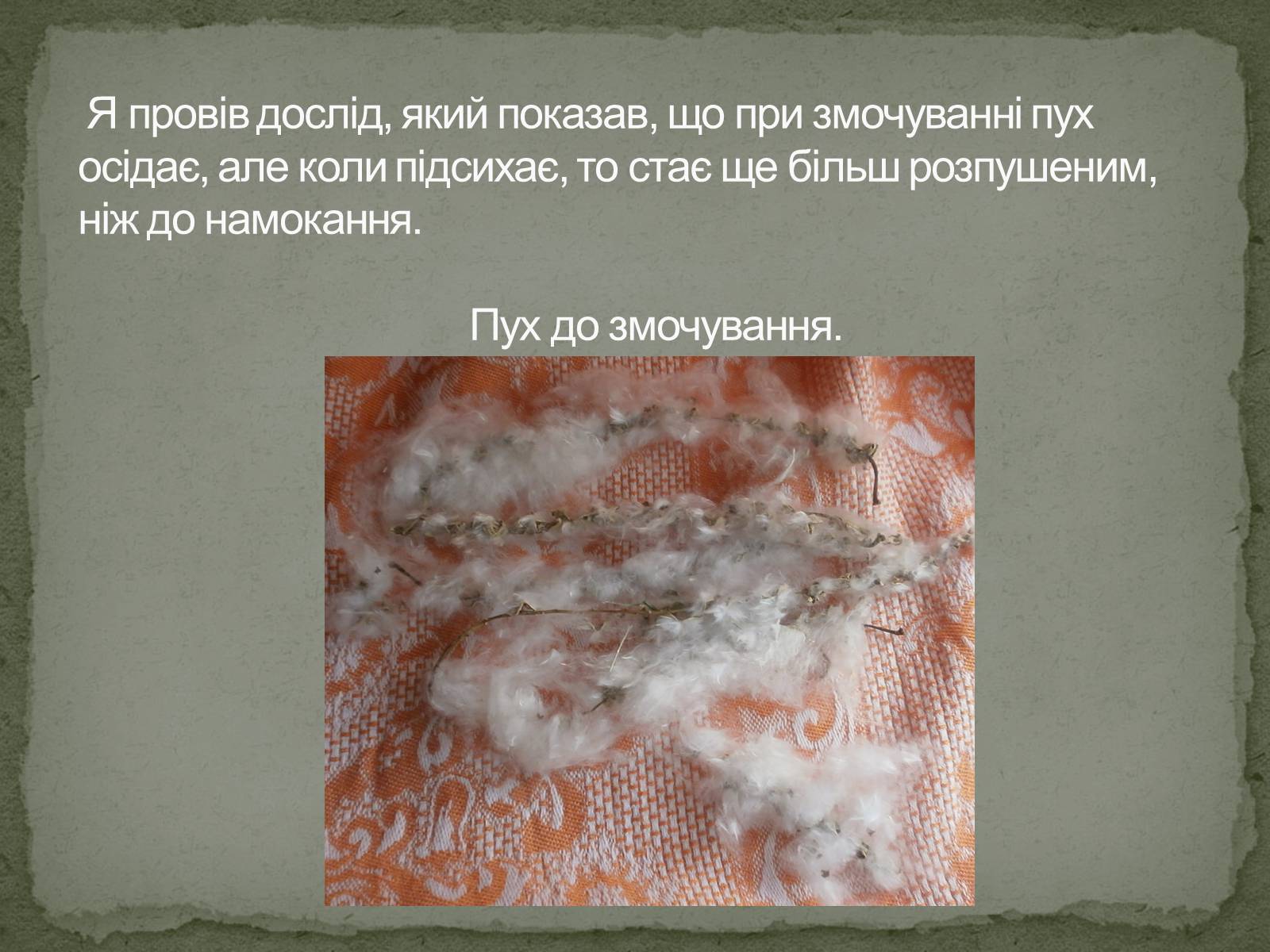 Презентація на тему «Пух тополі» - Слайд #8 Презентація на тему «Пух тополі» - Слайд #8