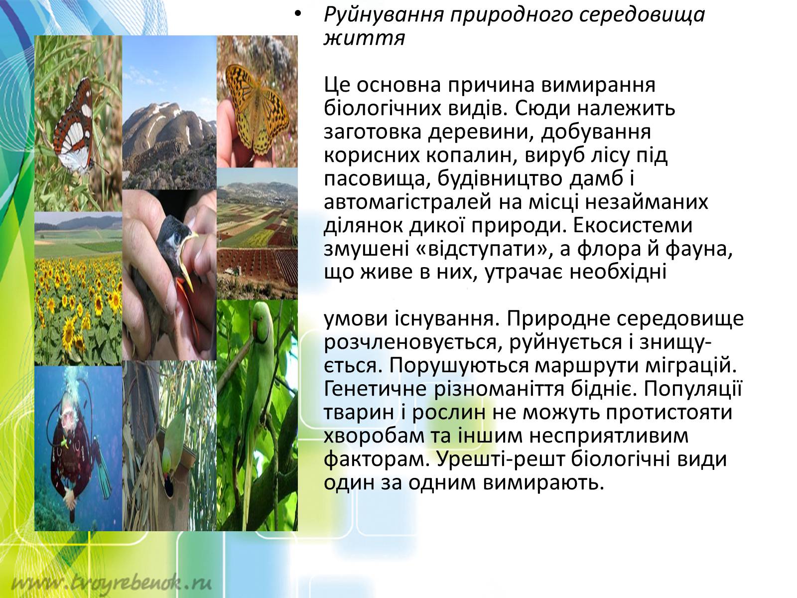 Презентація на тему «Причини деградації біорізноманіття» - Слайд #3 Презентація на тему «Причини деградації біорізноманіття» - Слайд #3