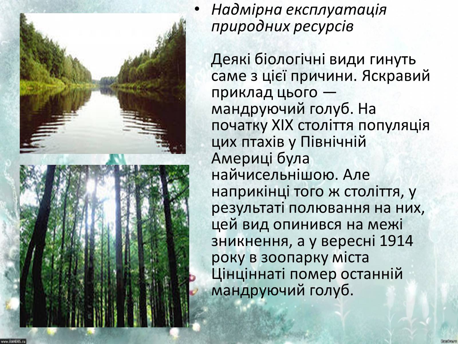Презентація на тему «Причини деградації біорізноманіття» - Слайд #4 Презентація на тему «Причини деградації біорізноманіття» - Слайд #4
