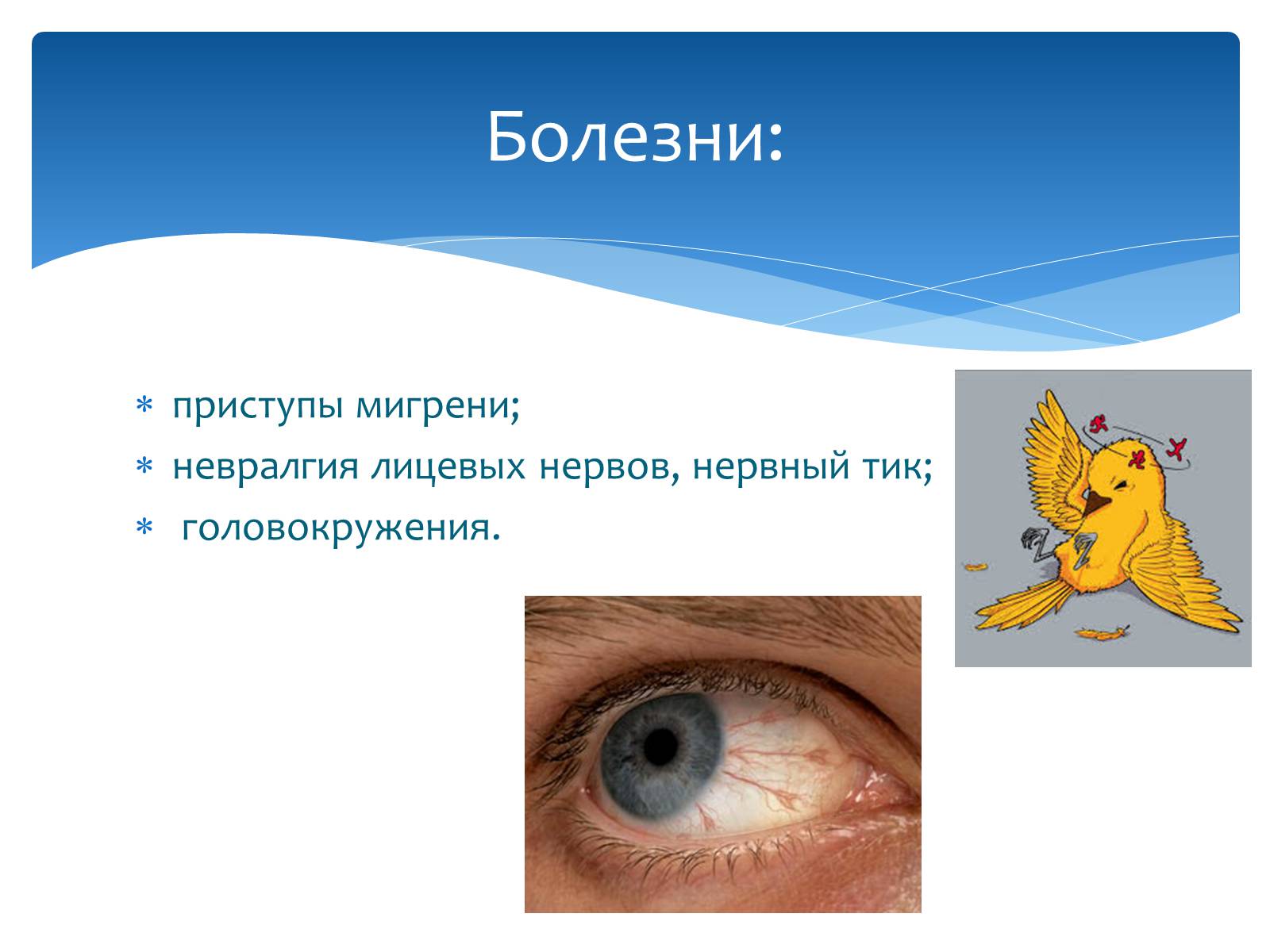 Презентація на тему «Здоровье по зодиакам» - Слайд #4 Презентація на тему «Здоровье по зодиакам» - Слайд #4