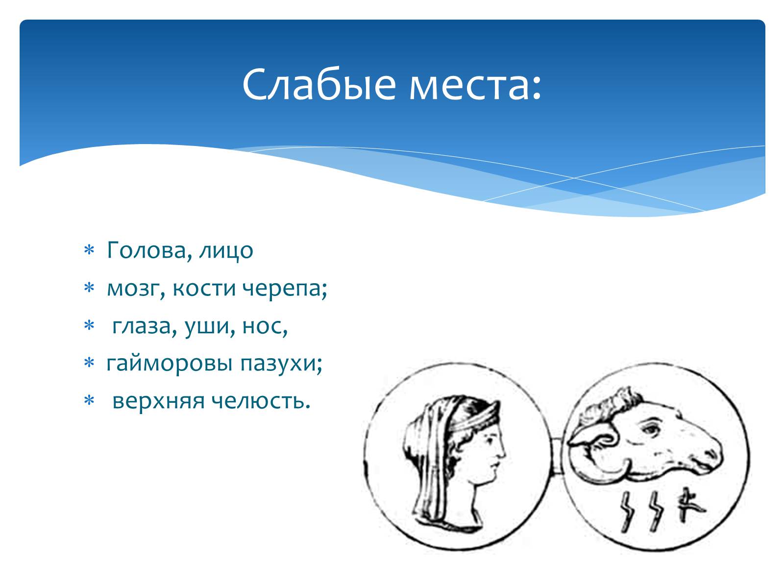 Презентація на тему «Здоровье по зодиакам» - Слайд #5 Презентація на тему «Здоровье по зодиакам» - Слайд #5