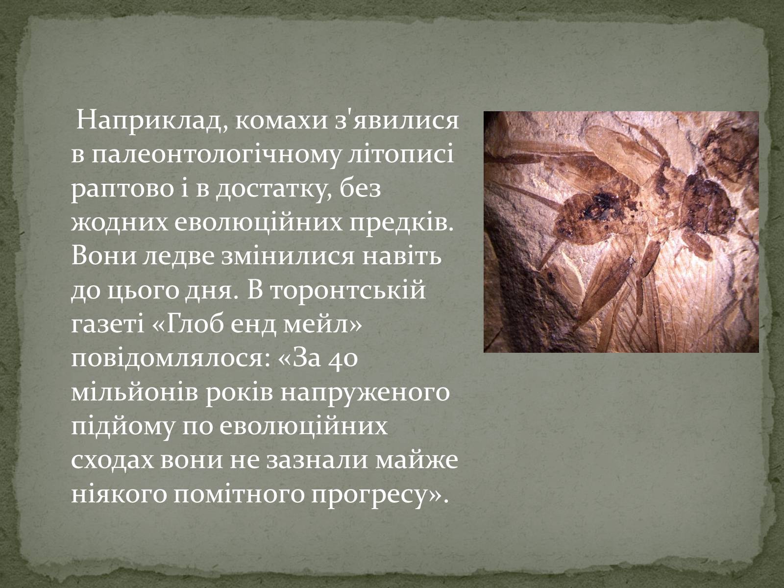 Презентація на тему «Еволюція життя. Науковий факт чи наукова фантастика?» (варіант 1) - Слайд #10 Презентація на тему «Еволюція життя. Науковий факт чи наукова фантастика?» (варіант 1) - Слайд #10