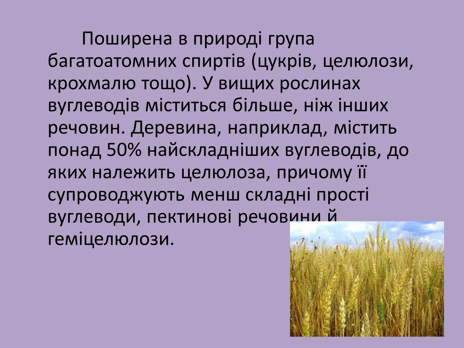 Презентація на тему «Вуглеводи як компоненти їжі, їх роль у житті людини» (варіант 11) - Слайд #8 Презентація на тему «Вуглеводи як компоненти їжі, їх роль у житті людини» (варіант 11) - Слайд #8