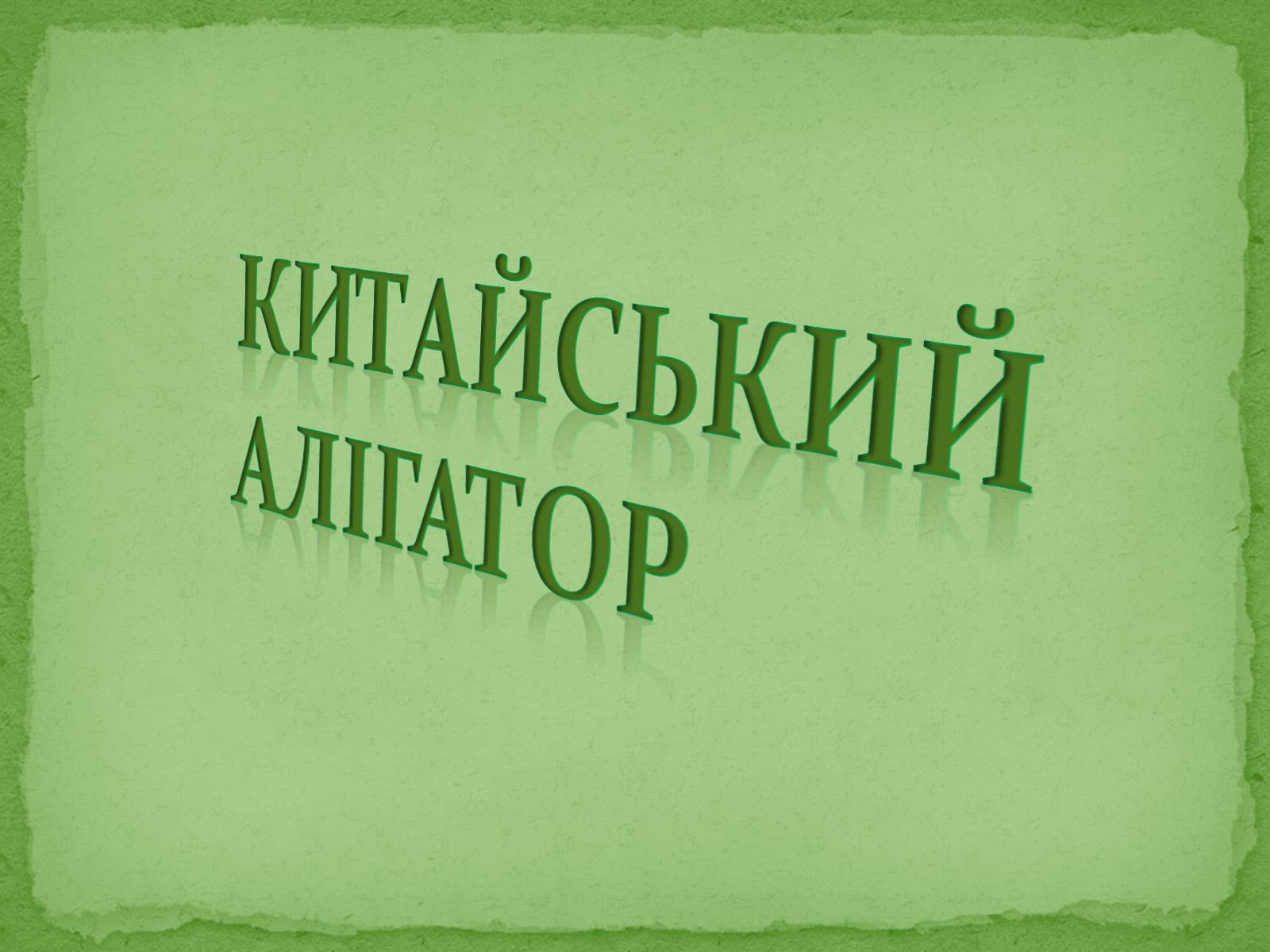 Презентація на тему «Китайський алігатор» - Слайд #1 Презентація на тему «Китайський алігатор» - Слайд #1