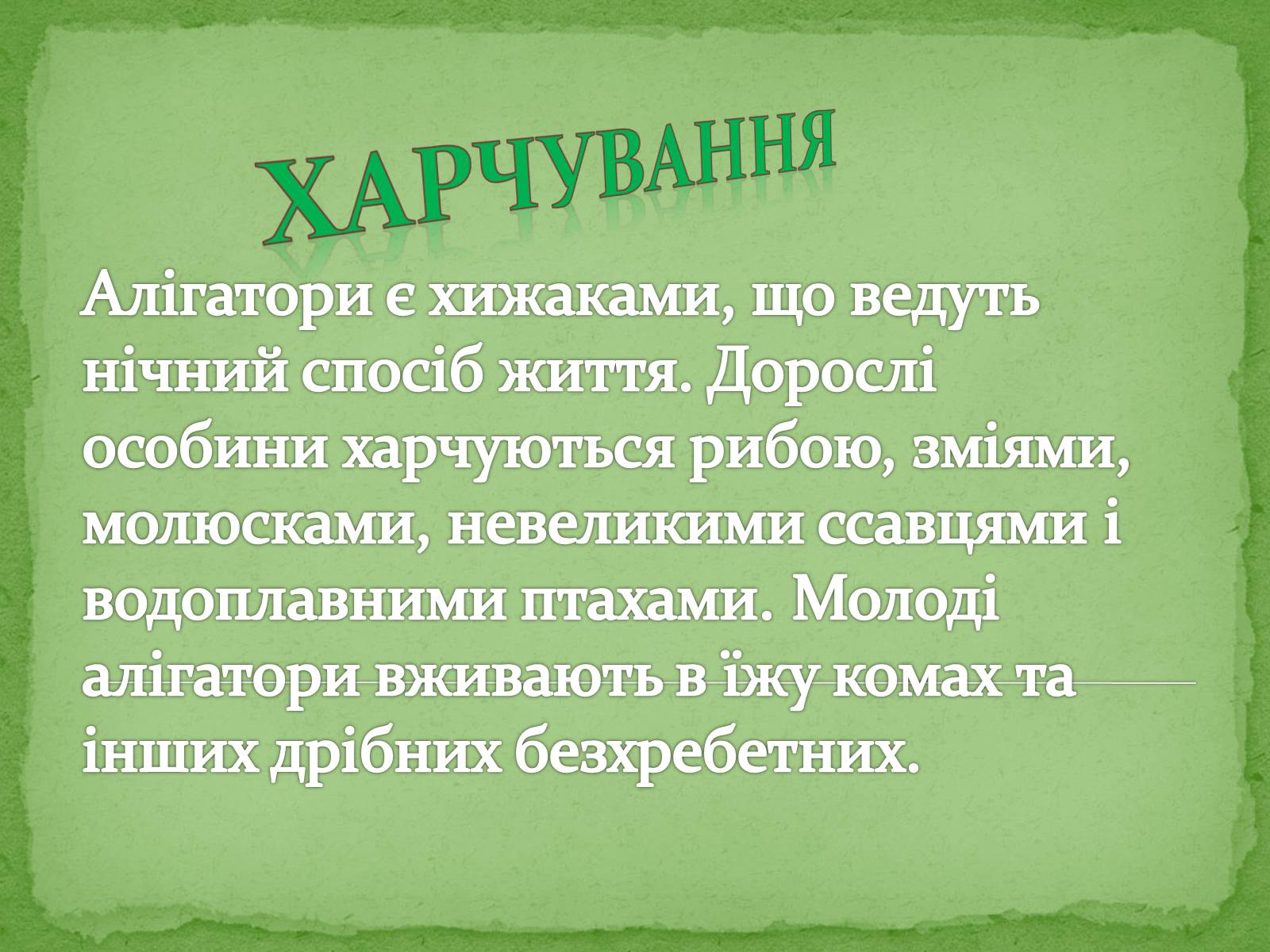 Презентація на тему «Китайський алігатор» - Слайд #12 Презентація на тему «Китайський алігатор» - Слайд #12