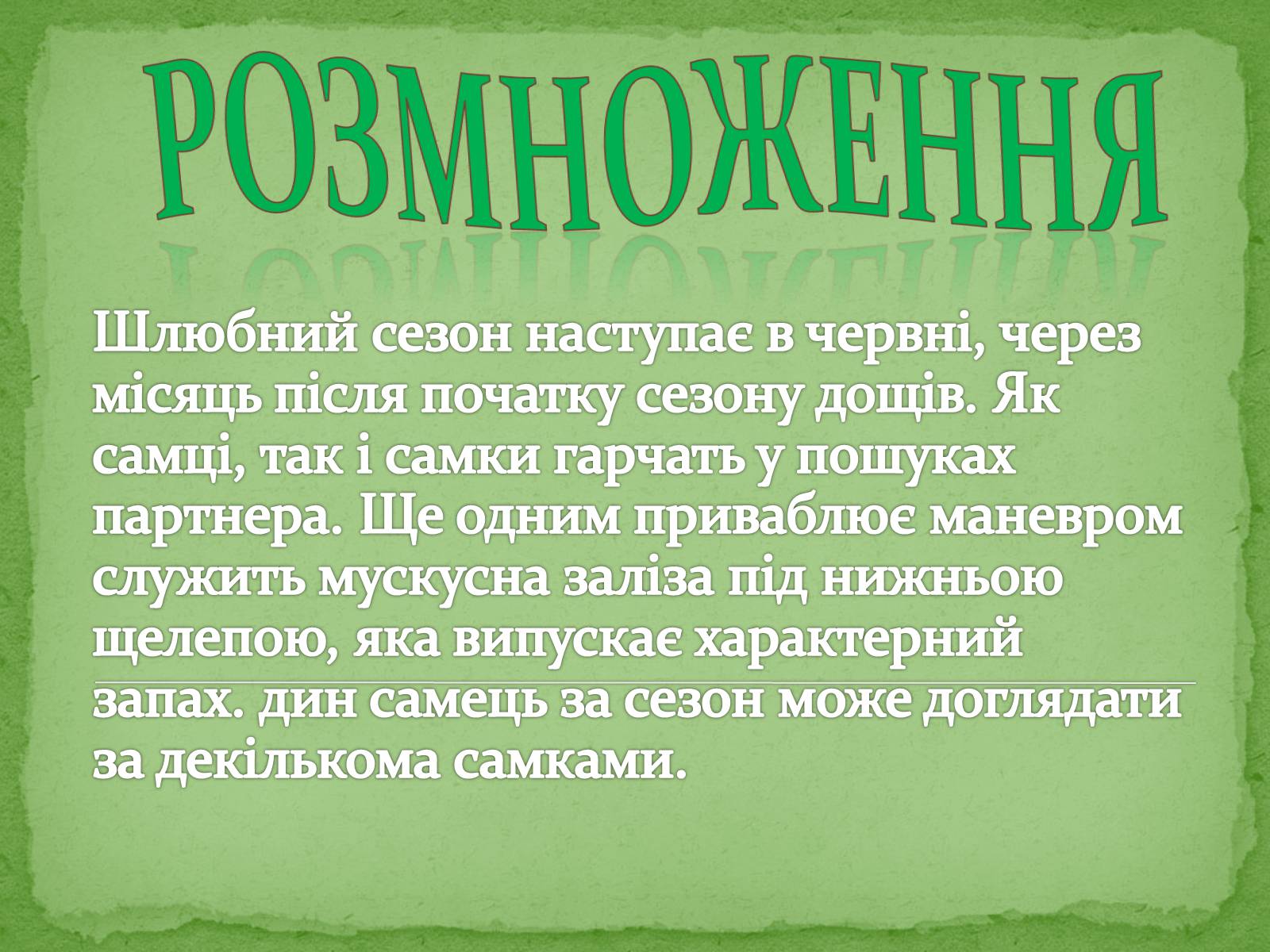 Презентація на тему «Китайський алігатор» - Слайд #14 Презентація на тему «Китайський алігатор» - Слайд #14
