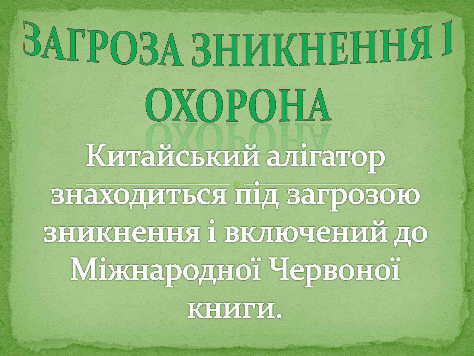 Презентація на тему «Китайський алігатор» - Слайд #17 Презентація на тему «Китайський алігатор» - Слайд #17