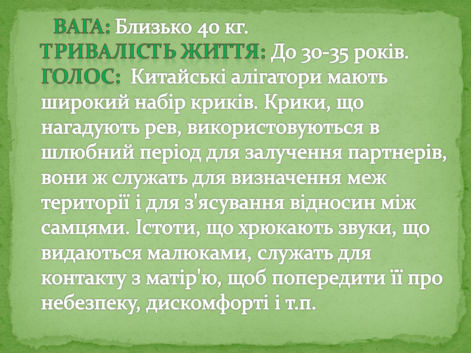 Презентація на тему «Китайський алігатор» - Слайд #8 Презентація на тему «Китайський алігатор» - Слайд #8