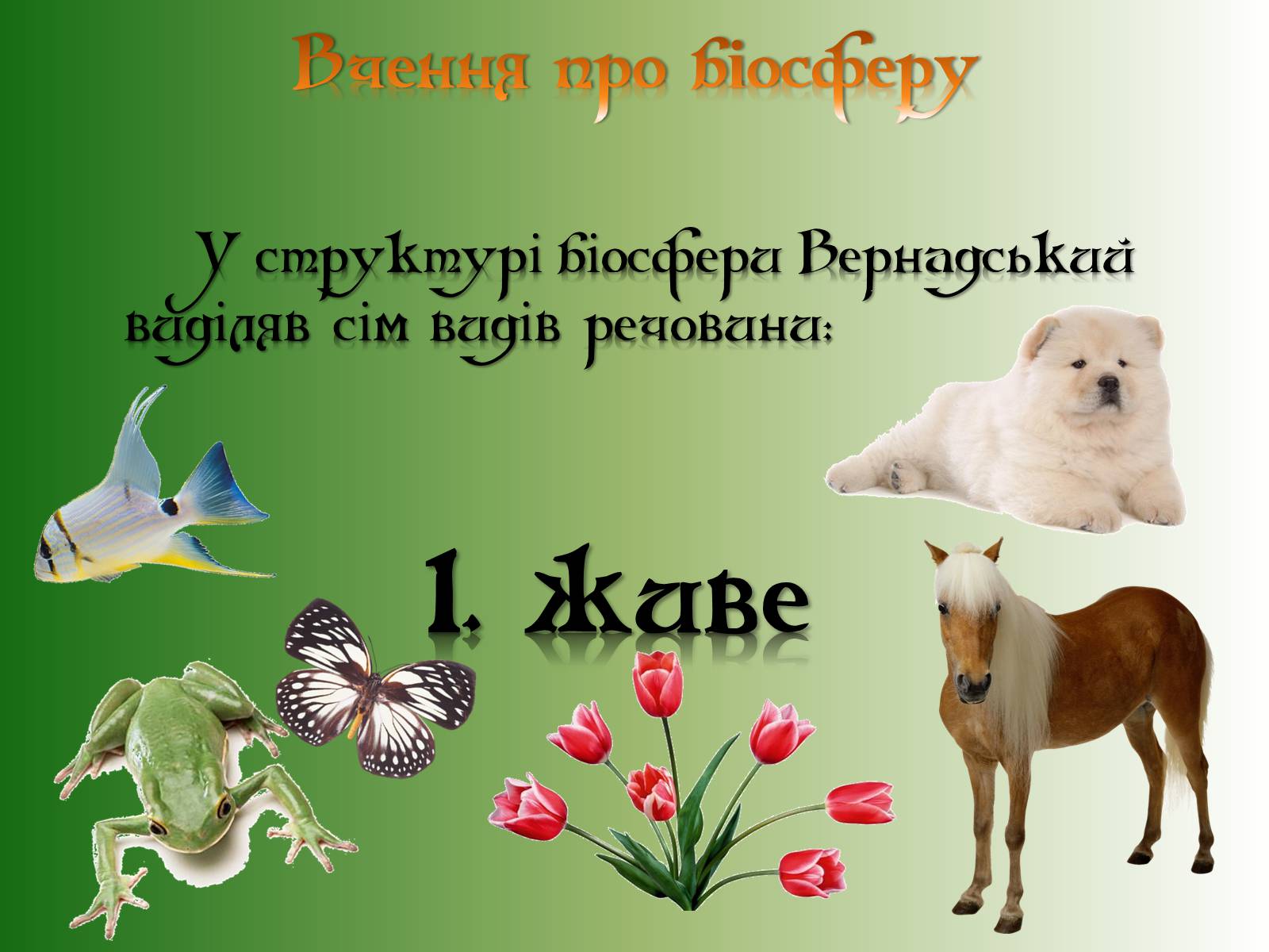Презентація на тему «Володимир Іванович Вернадський» (варіант 6) - Слайд #5 Презентація на тему «Володимир Іванович Вернадський» (варіант 6) - Слайд #5