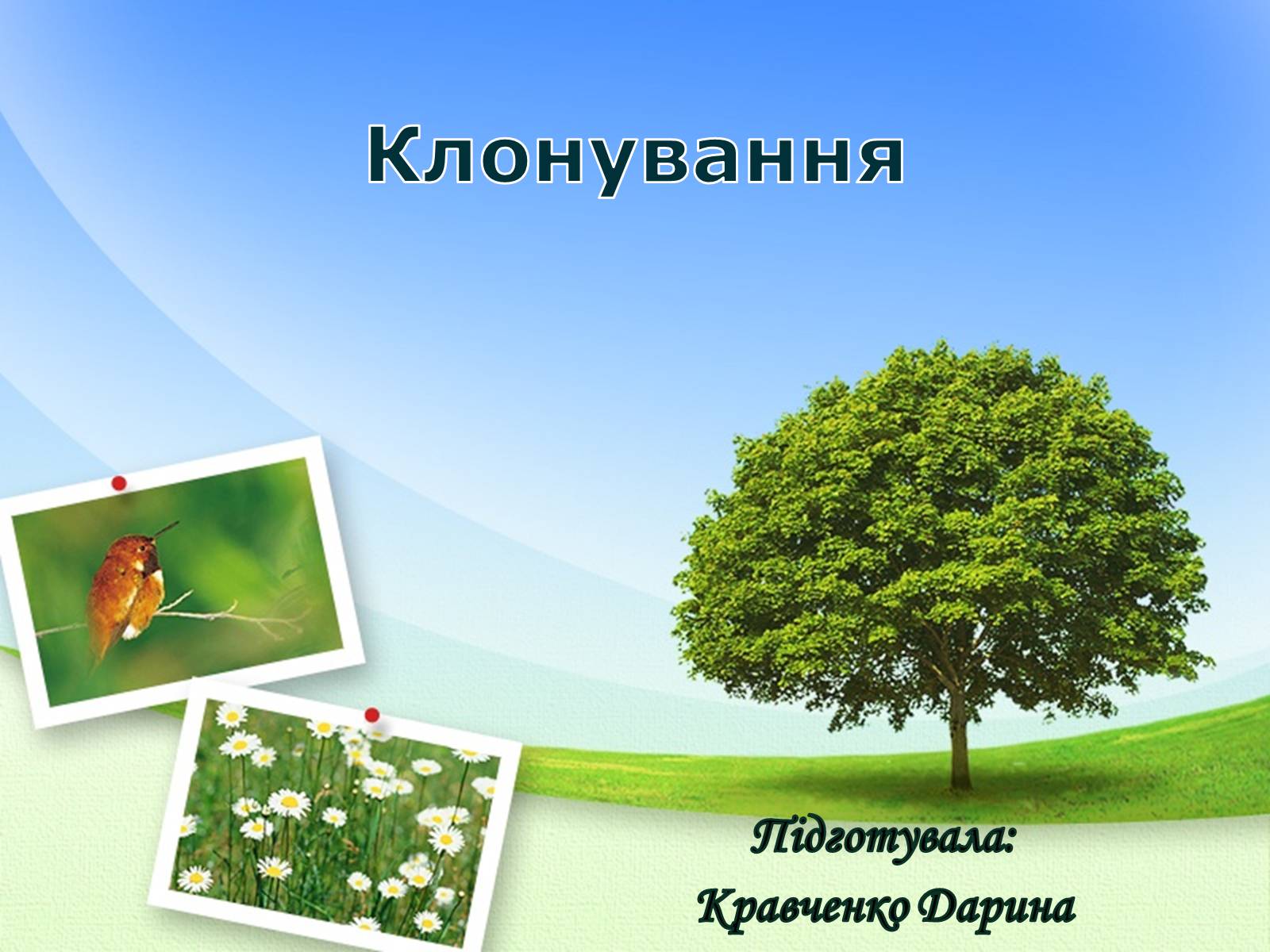 Презентація на тему «Клонування» (варіант 5) - Слайд #1 Презентація на тему «Клонування» (варіант 5) - Слайд #1
