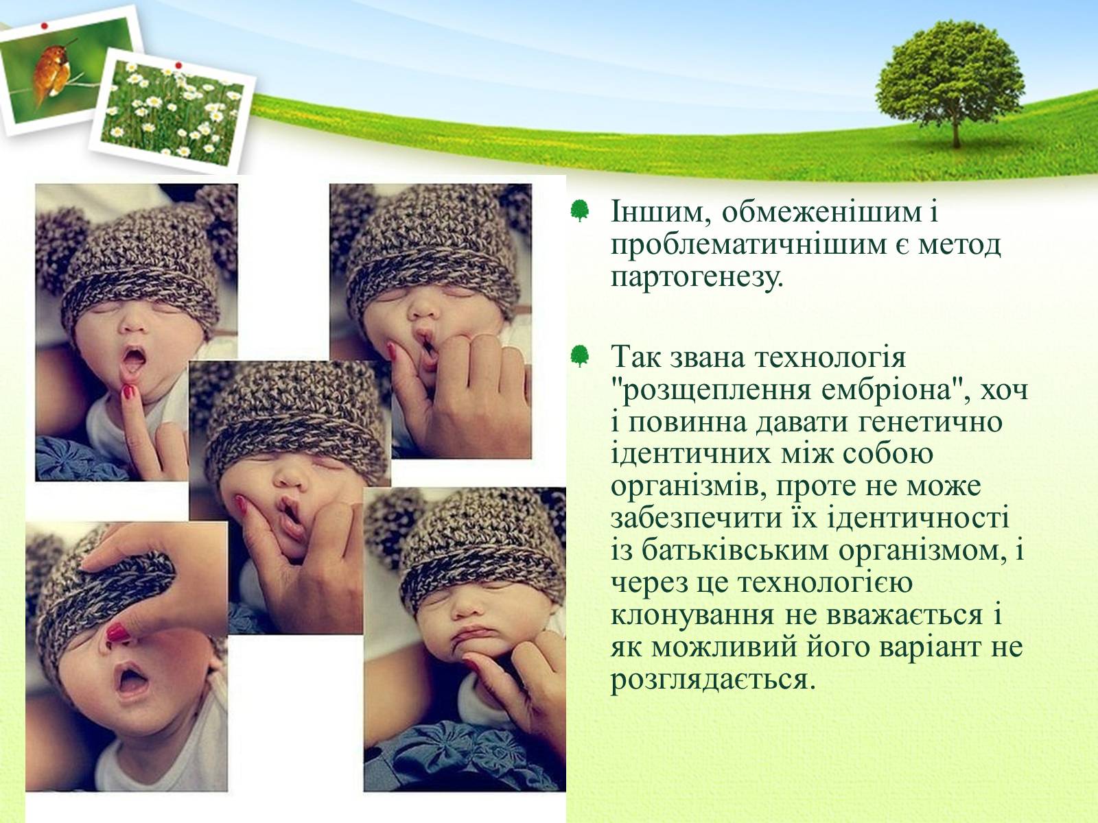 Презентація на тему «Клонування» (варіант 5) - Слайд #6 Презентація на тему «Клонування» (варіант 5) - Слайд #6