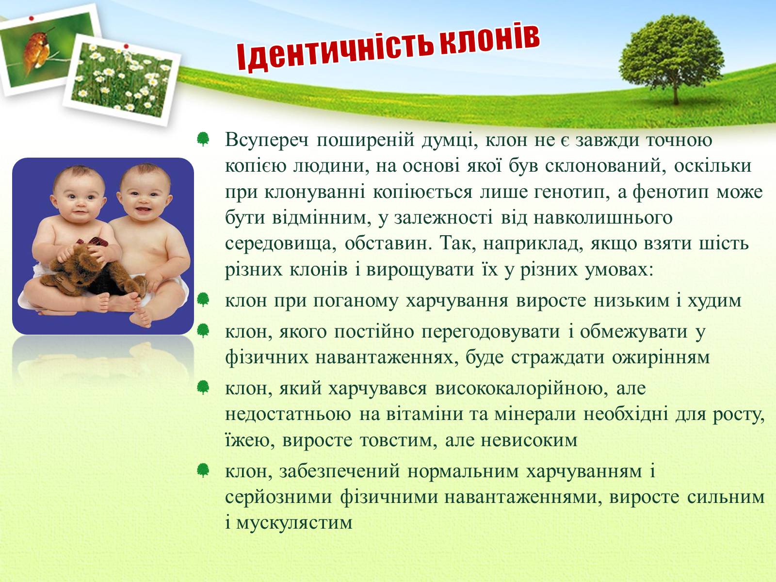 Презентація на тему «Клонування» (варіант 5) - Слайд #9 Презентація на тему «Клонування» (варіант 5) - Слайд #9