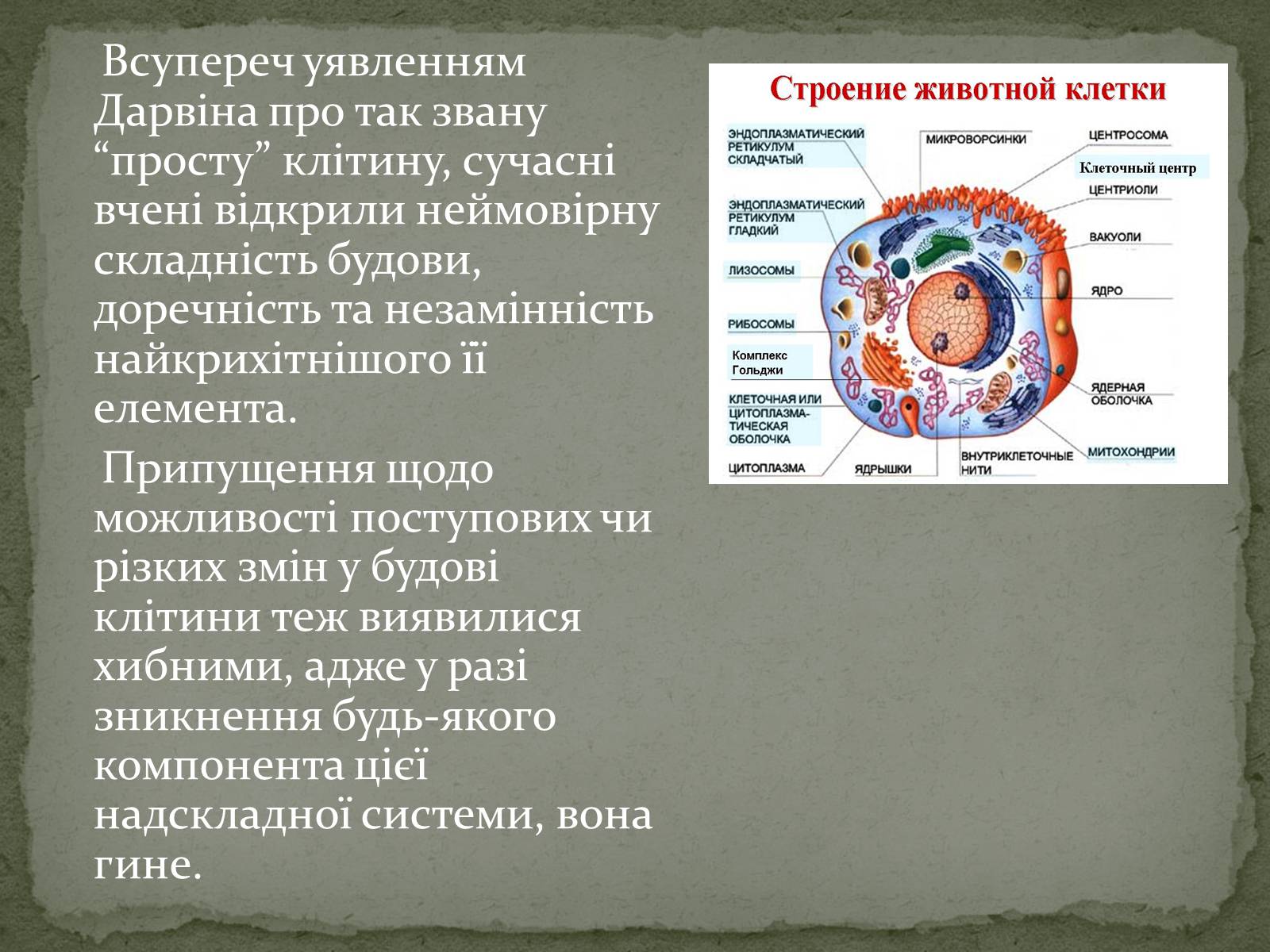 Презентація на тему «Еволюція життя. Науковий факт чи наукова фантастика?» (варіант 2) - Слайд #7 Презентація на тему «Еволюція життя. Науковий факт чи наукова фантастика?» (варіант 2) - Слайд #7