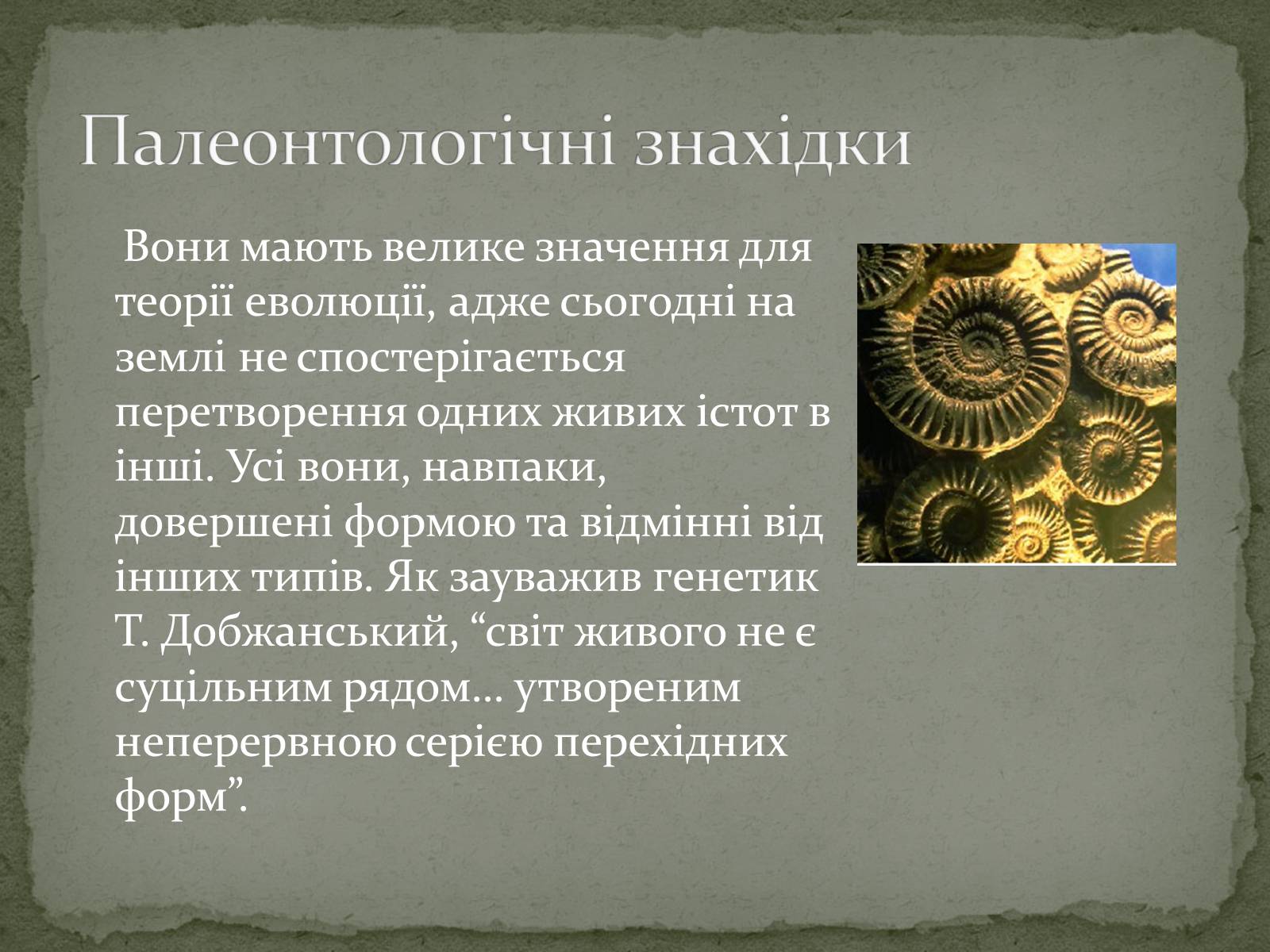 Презентація на тему «Еволюція життя. Науковий факт чи наукова фантастика?» (варіант 2) - Слайд #8 Презентація на тему «Еволюція життя. Науковий факт чи наукова фантастика?» (варіант 2) - Слайд #8