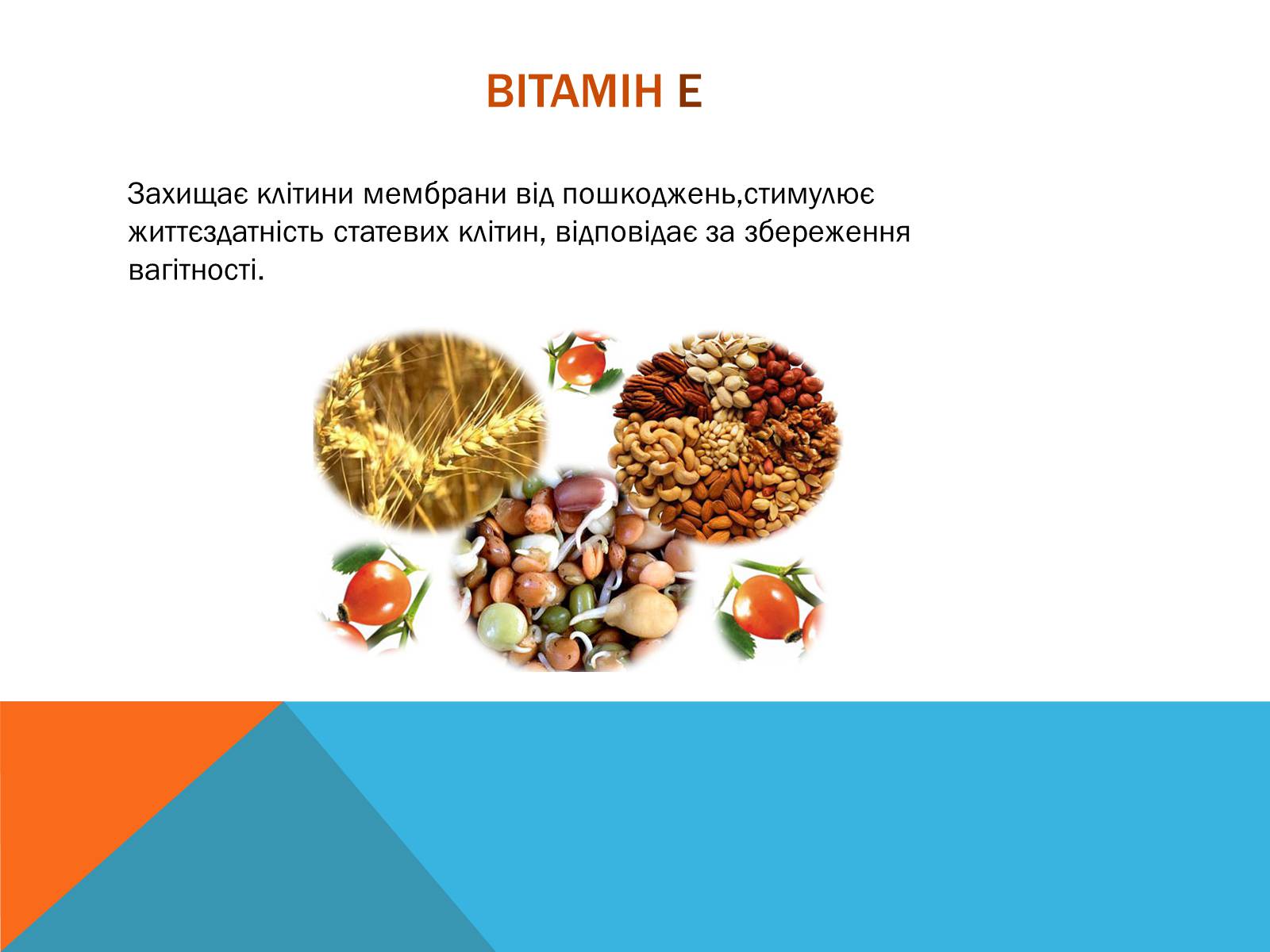 Презентація на тему «Витаміни» (варіант 8) - Слайд #16 Презентація на тему «Витаміни» (варіант 8) - Слайд #16