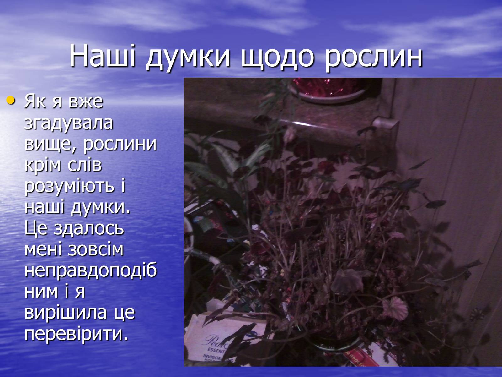 Презентація на тему «Чи розуміють нас рослини?» - Слайд #11 Презентація на тему «Чи розуміють нас рослини?» - Слайд #11