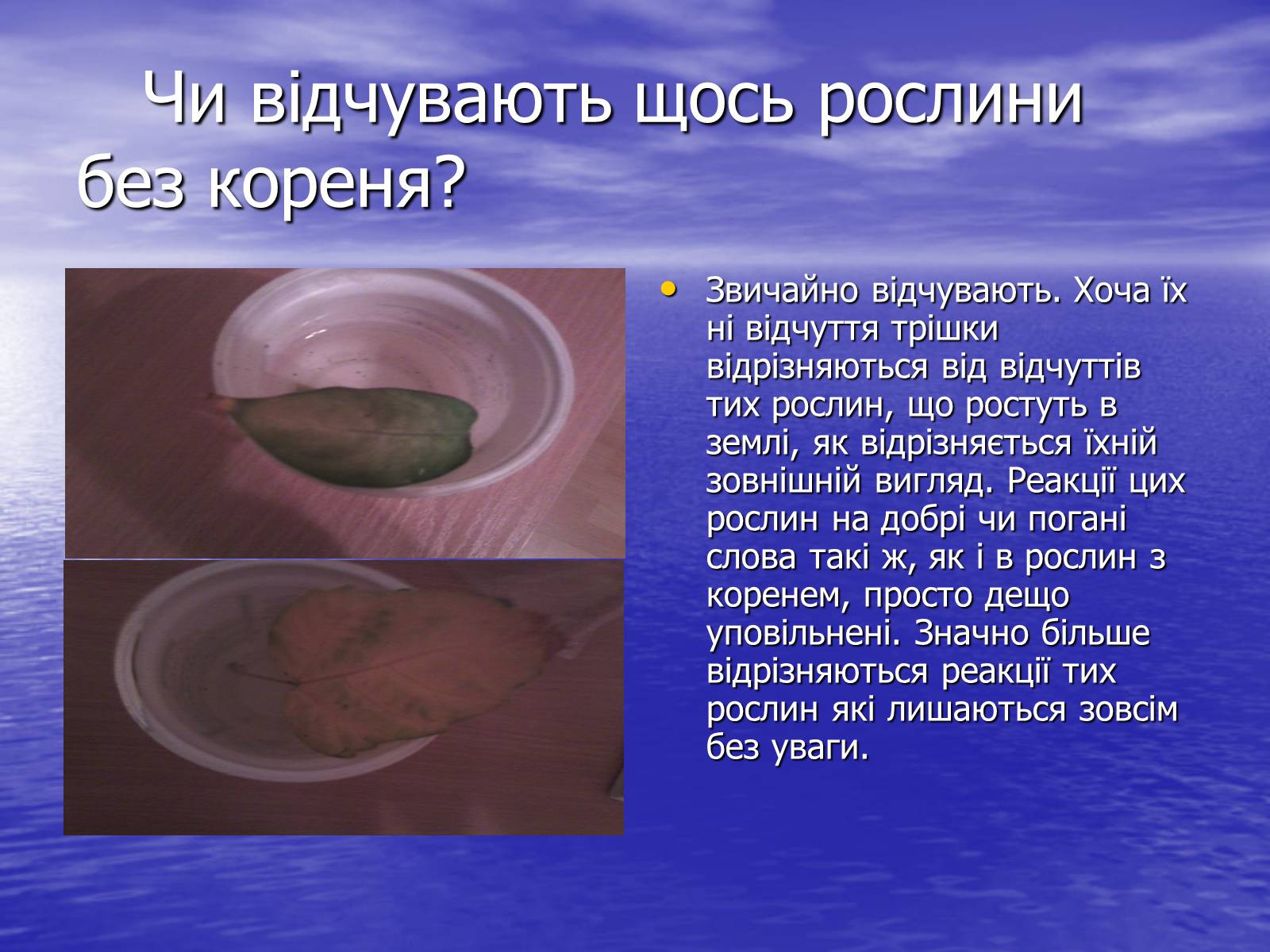 Презентація на тему «Чи розуміють нас рослини?» - Слайд #9 Презентація на тему «Чи розуміють нас рослини?» - Слайд #9
