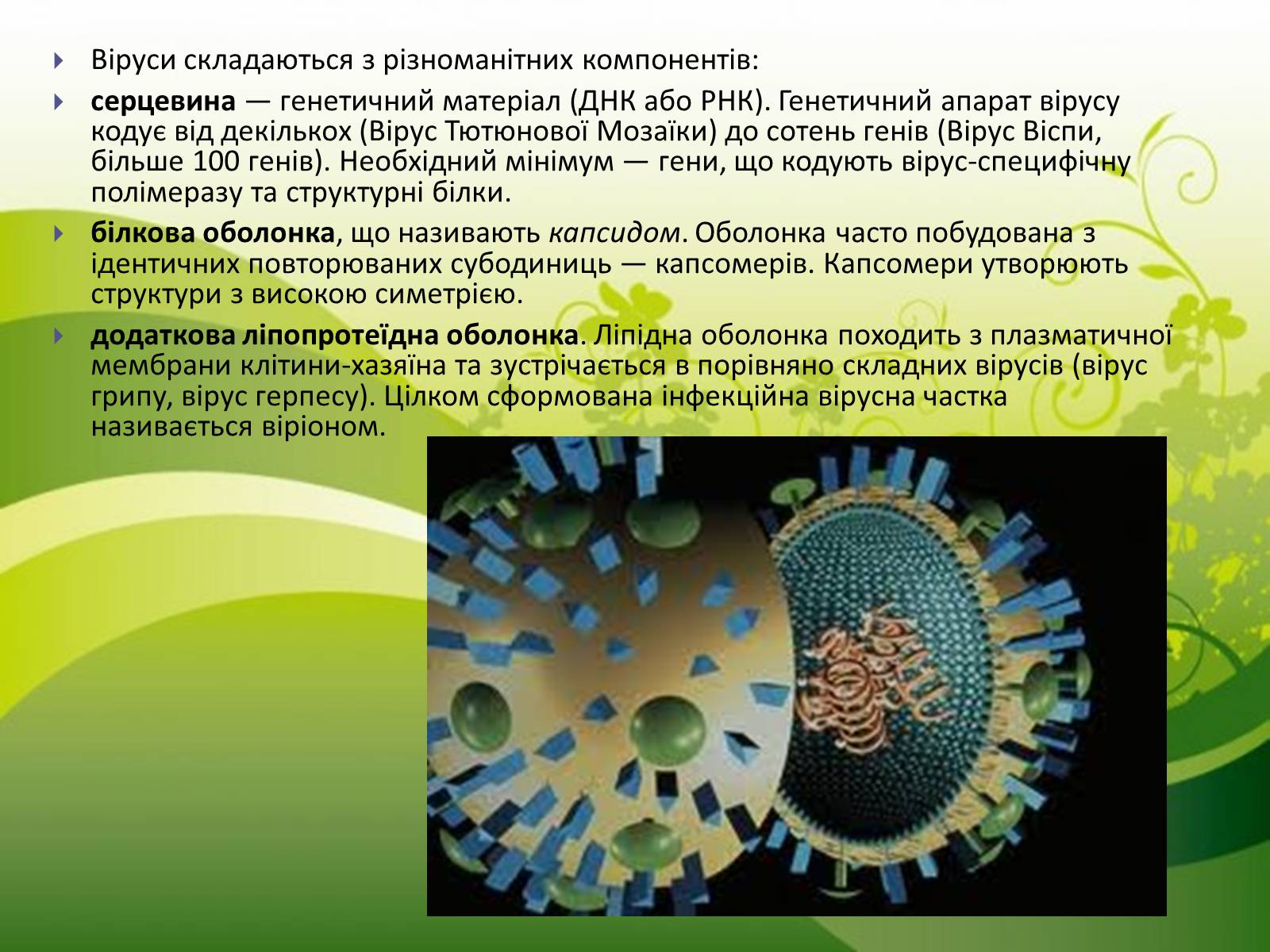 Презентація на тему «Віруси» (варіант 16) - Слайд #6 Презентація на тему «Віруси» (варіант 16) - Слайд #6
