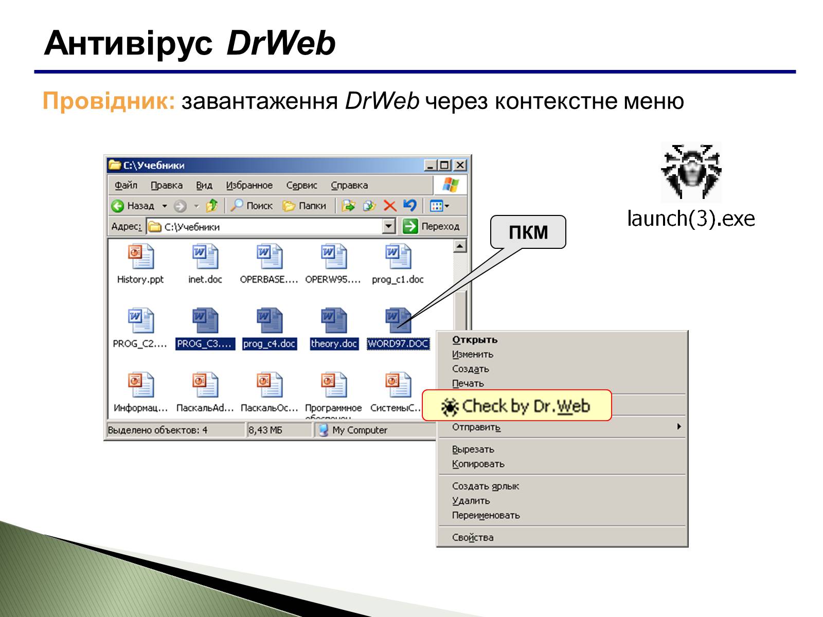 Презентація на тему «Віруси» (варіант 6) - Слайд #12 Презентація на тему «Віруси» (варіант 6) - Слайд #12