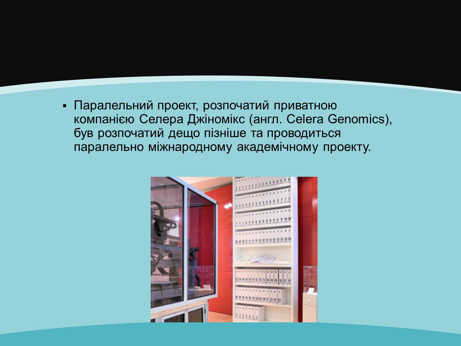 Презентація на тему «Проект геному людини» (варіант 2) - Слайд #13 Презентація на тему «Проект геному людини» (варіант 2) - Слайд #13