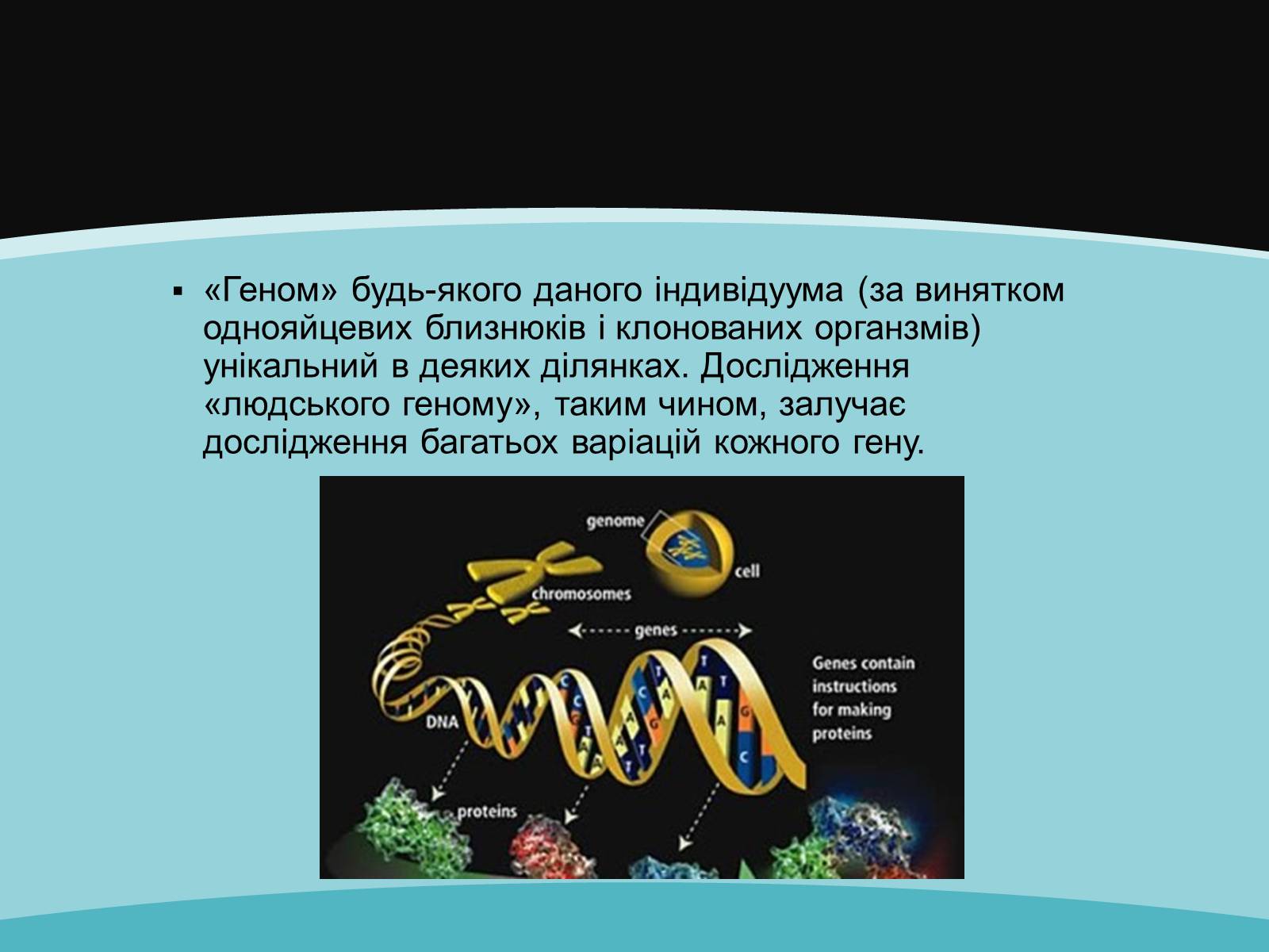 Презентація на тему «Проект геному людини» (варіант 2) - Слайд #7 Презентація на тему «Проект геному людини» (варіант 2) - Слайд #7