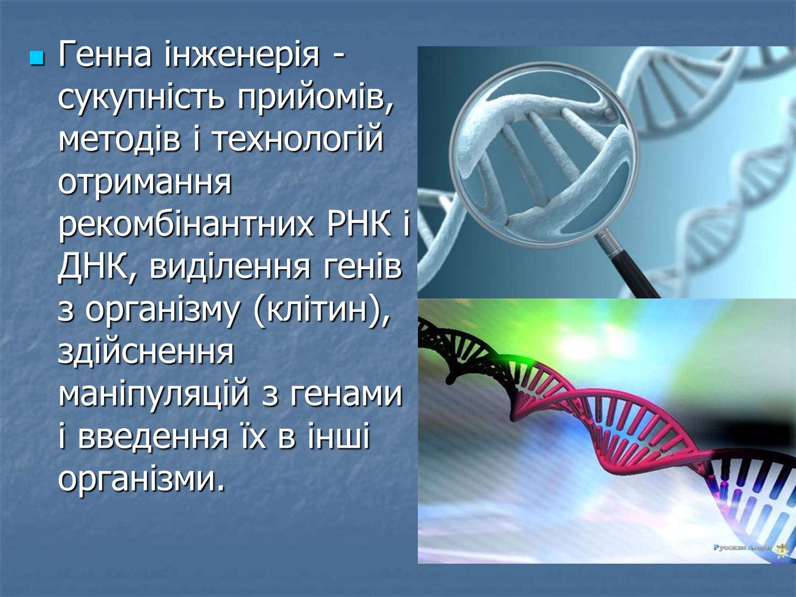 Презентація на тему «Генна інженерія та її досягнення» (варіант 2) - Слайд #2 Презентація на тему «Генна інженерія та її досягнення» (варіант 2) - Слайд #2