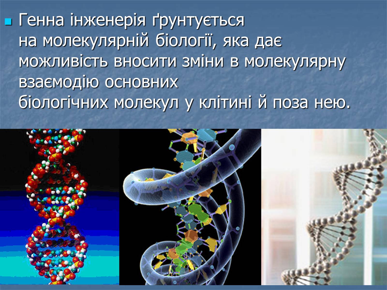 Презентація на тему «Генна інженерія та її досягнення» (варіант 2) - Слайд #3 Презентація на тему «Генна інженерія та її досягнення» (варіант 2) - Слайд #3